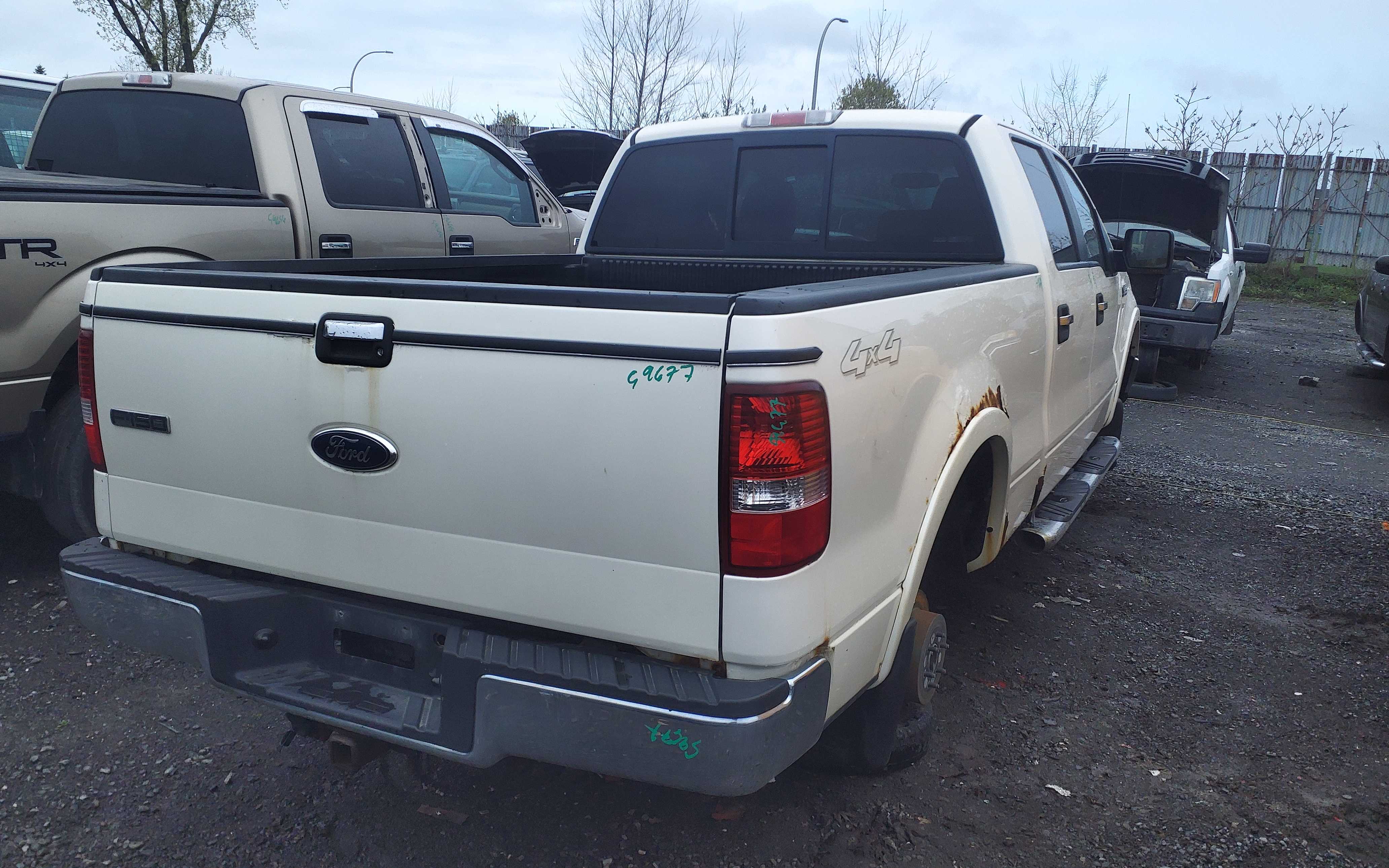 FORD F-150 2007