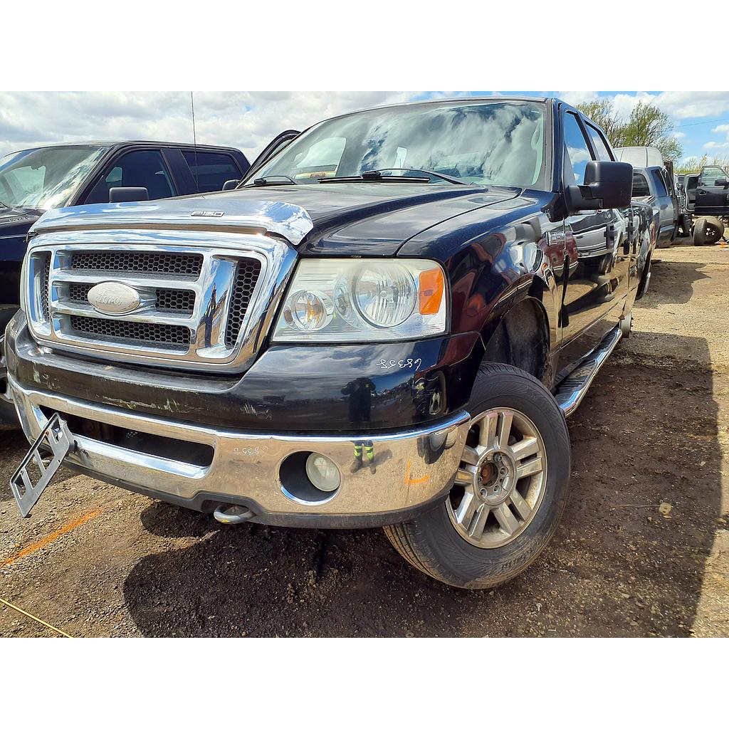 FORD F-150 2007