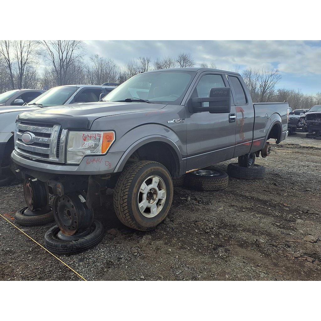 FORD F-150 2009