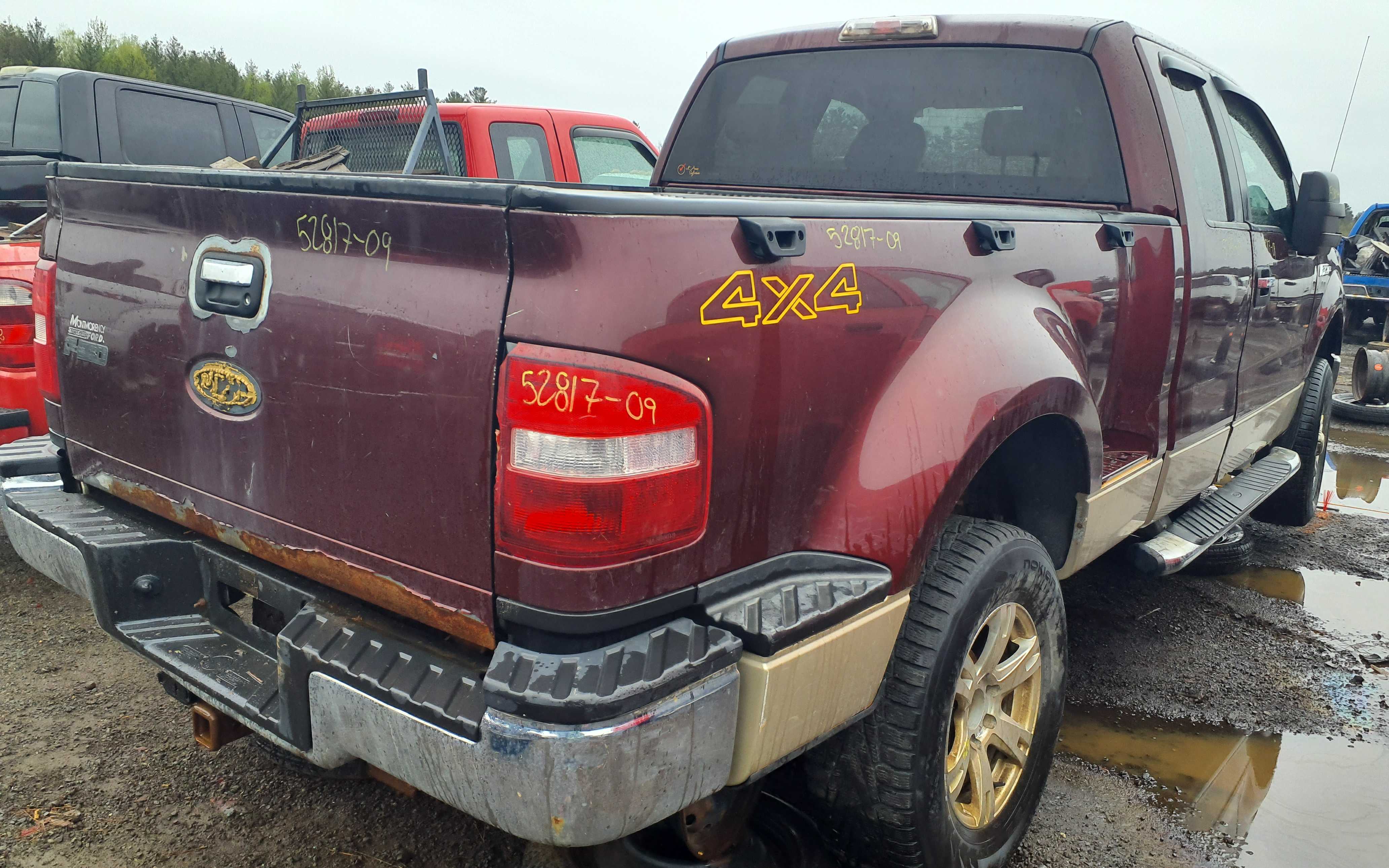 FORD F-150 2009