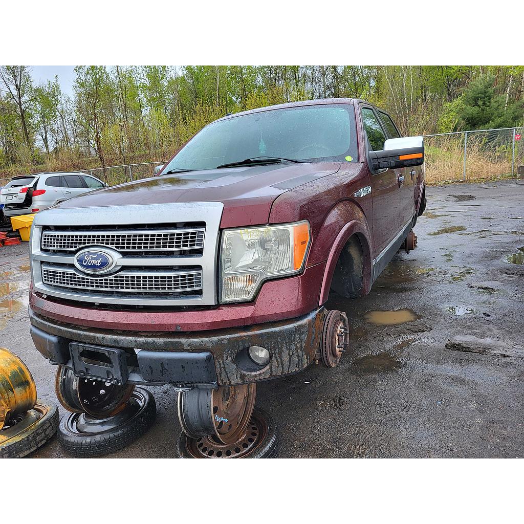 FORD F-150 2009