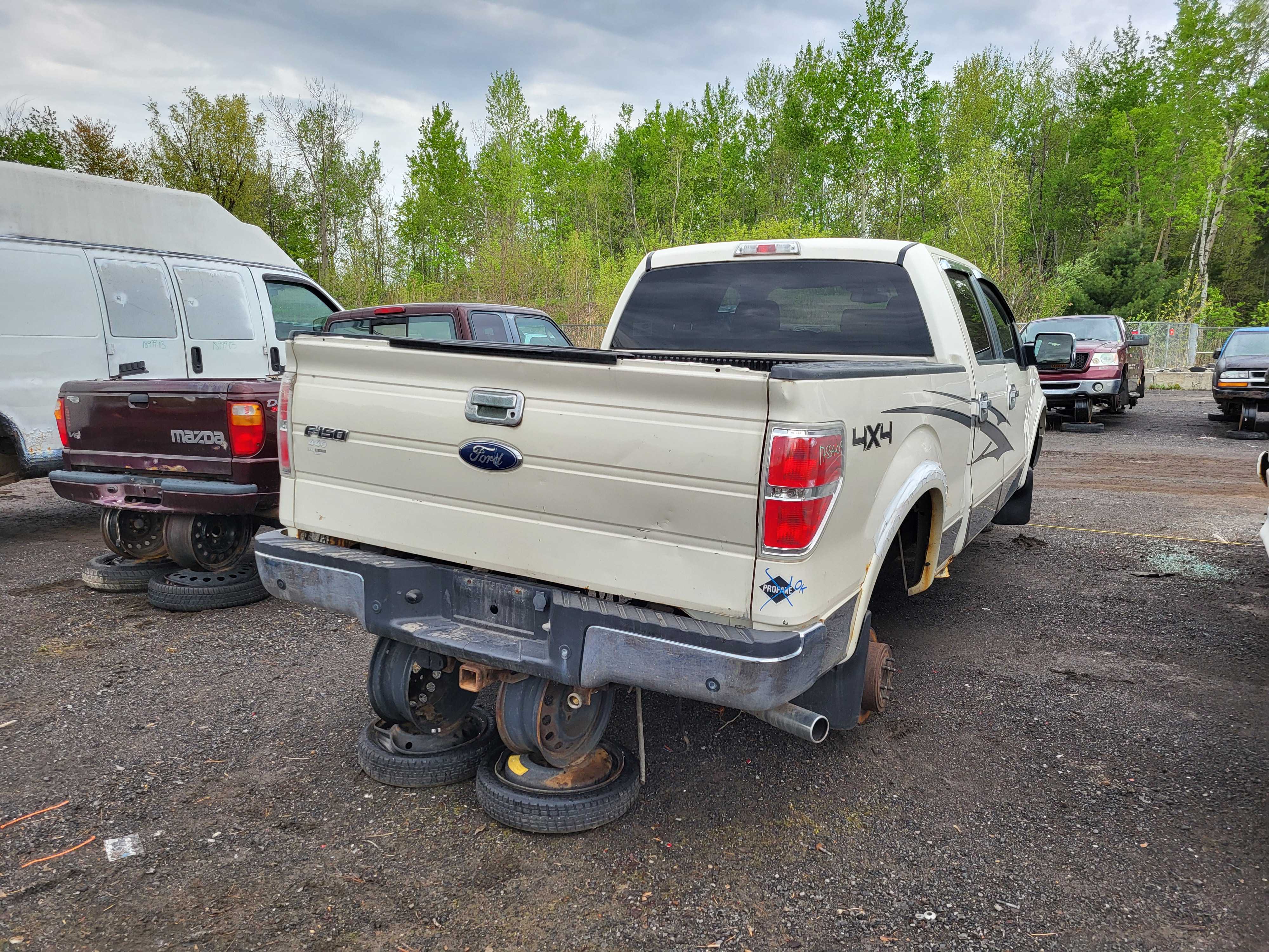 FORD F-150 2009