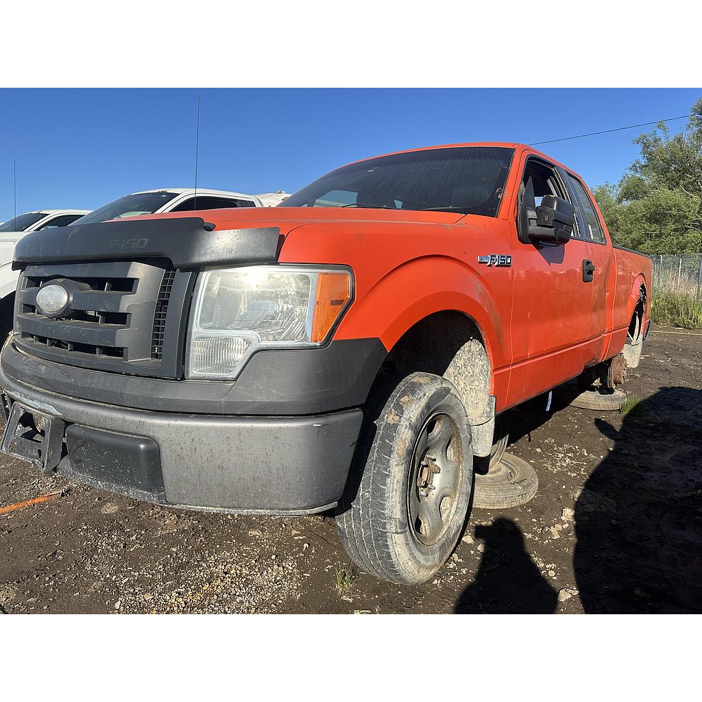 FORD F-150 2009