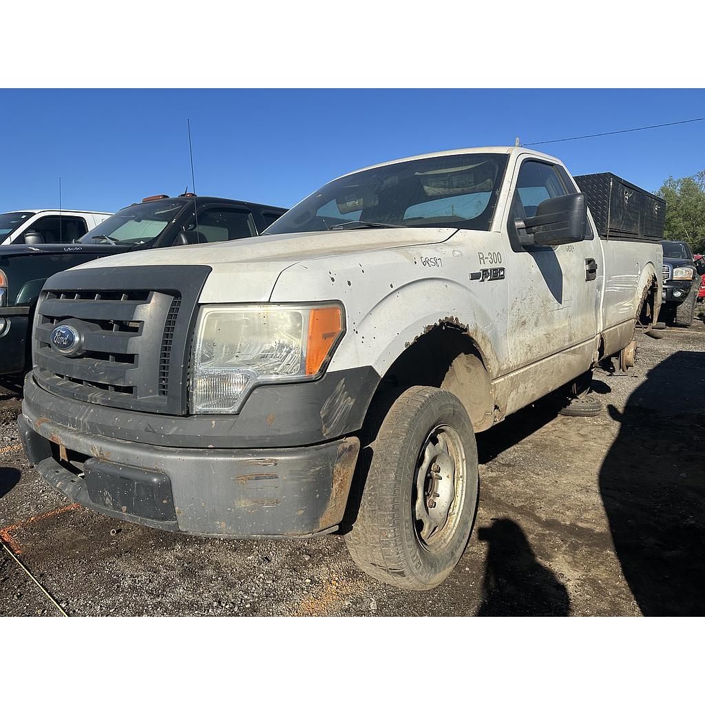 FORD F-150 2009