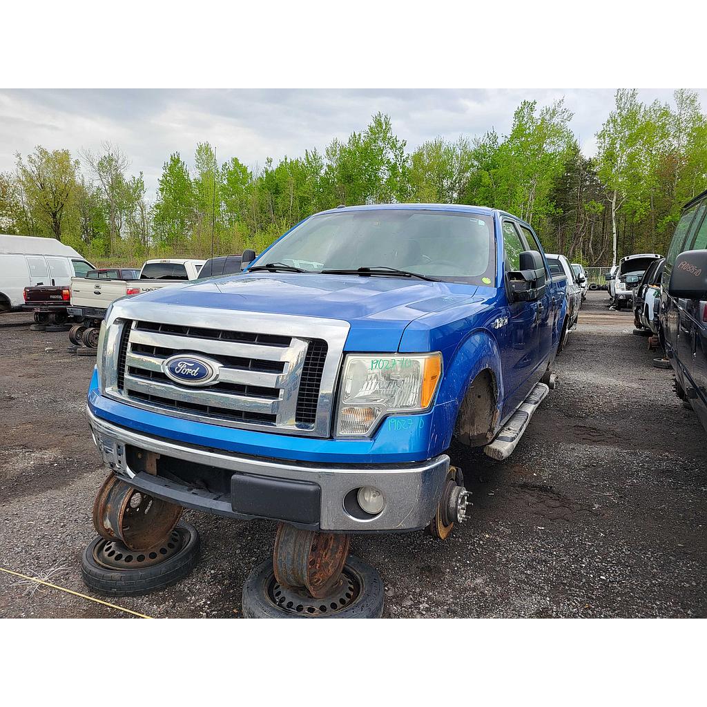 FORD F-150 2010