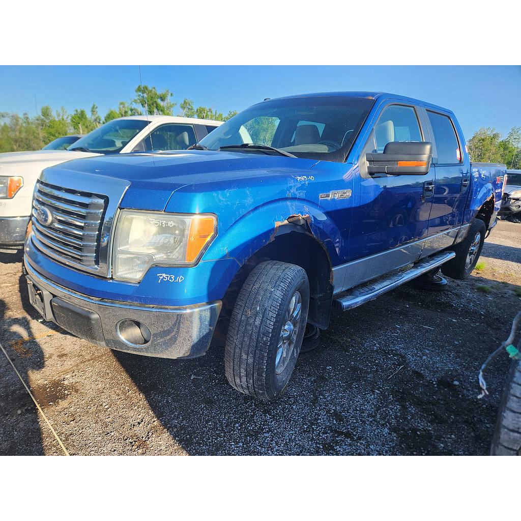 FORD F-150 2010