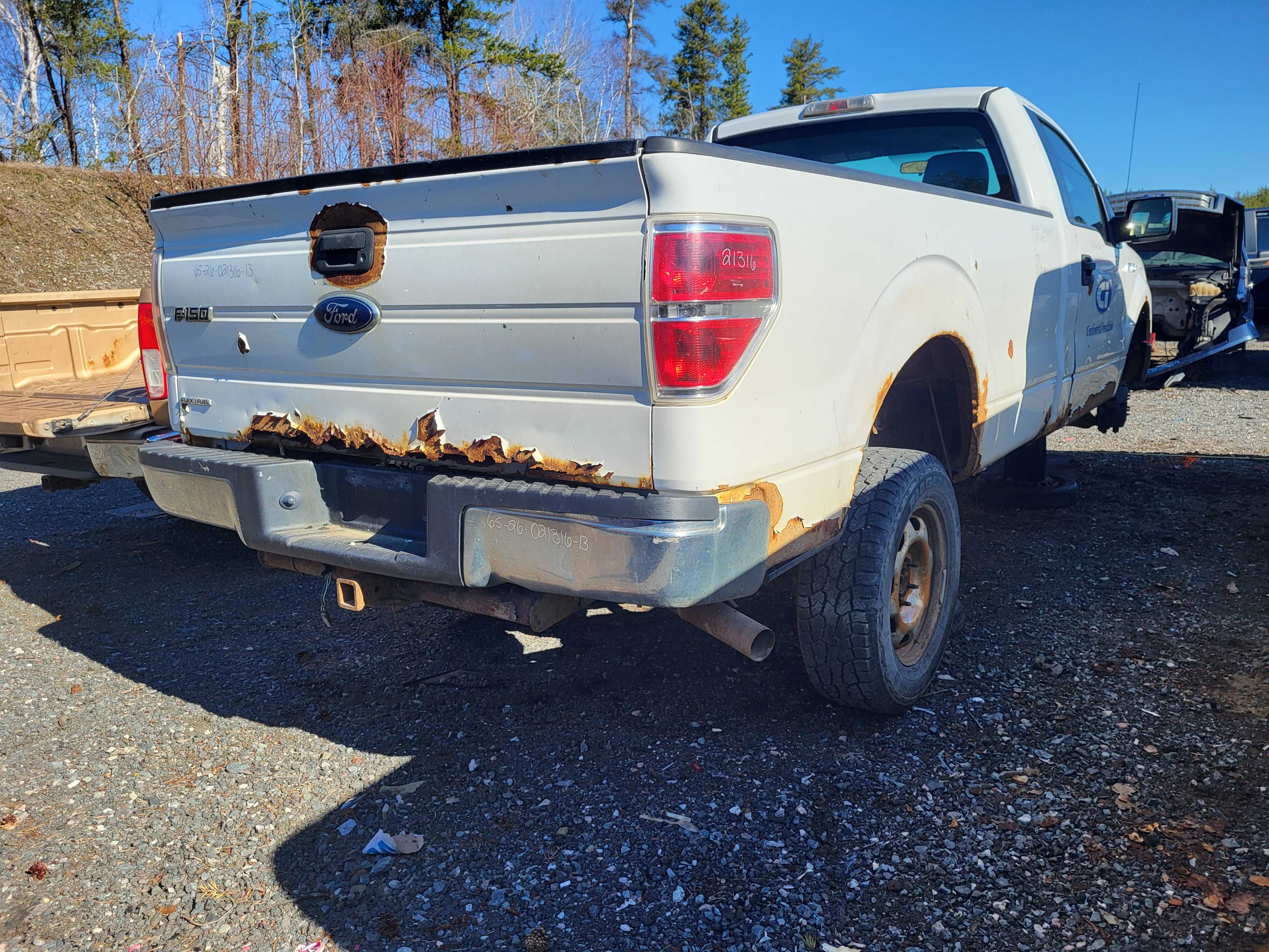 FORD F-150 2013