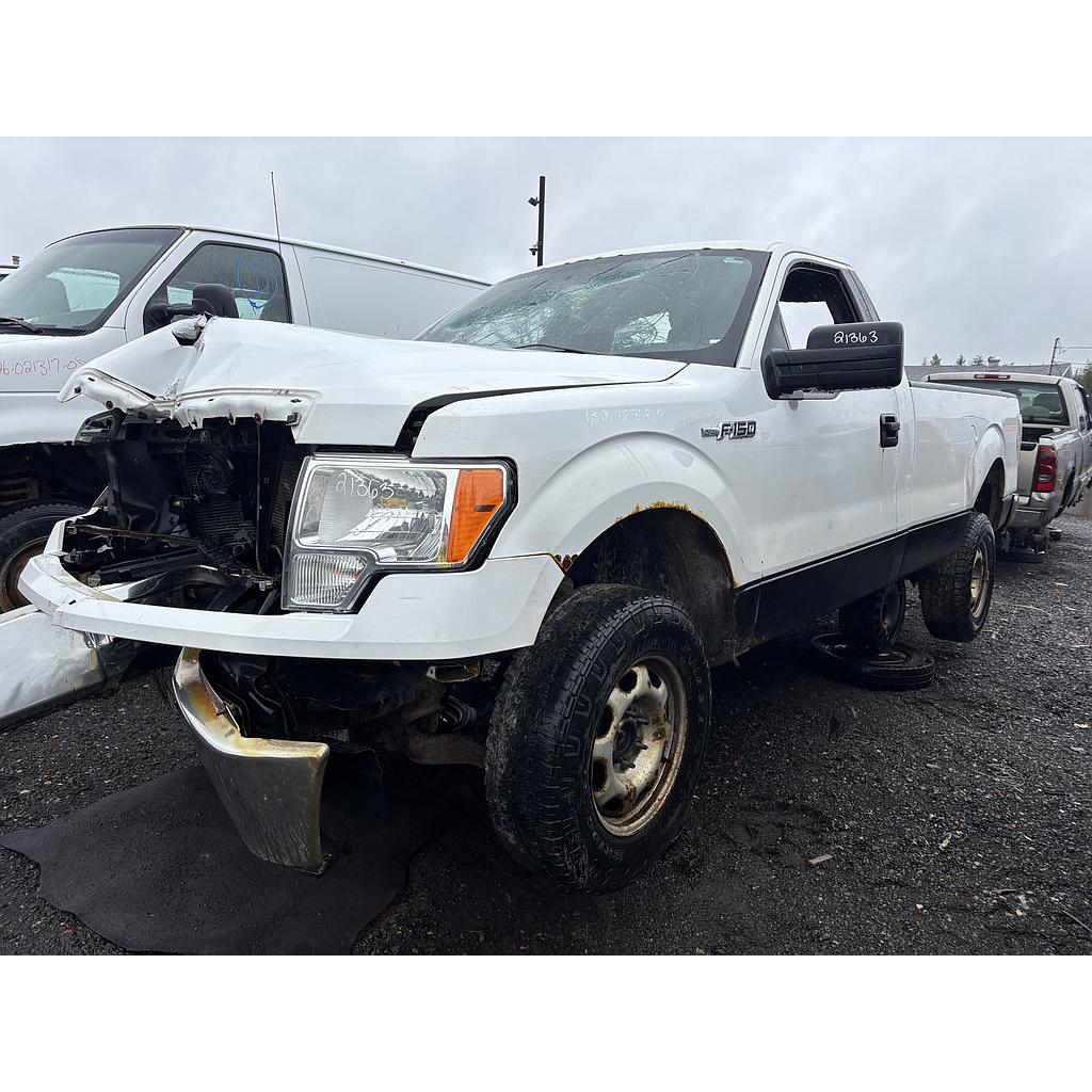 FORD F-150 2013