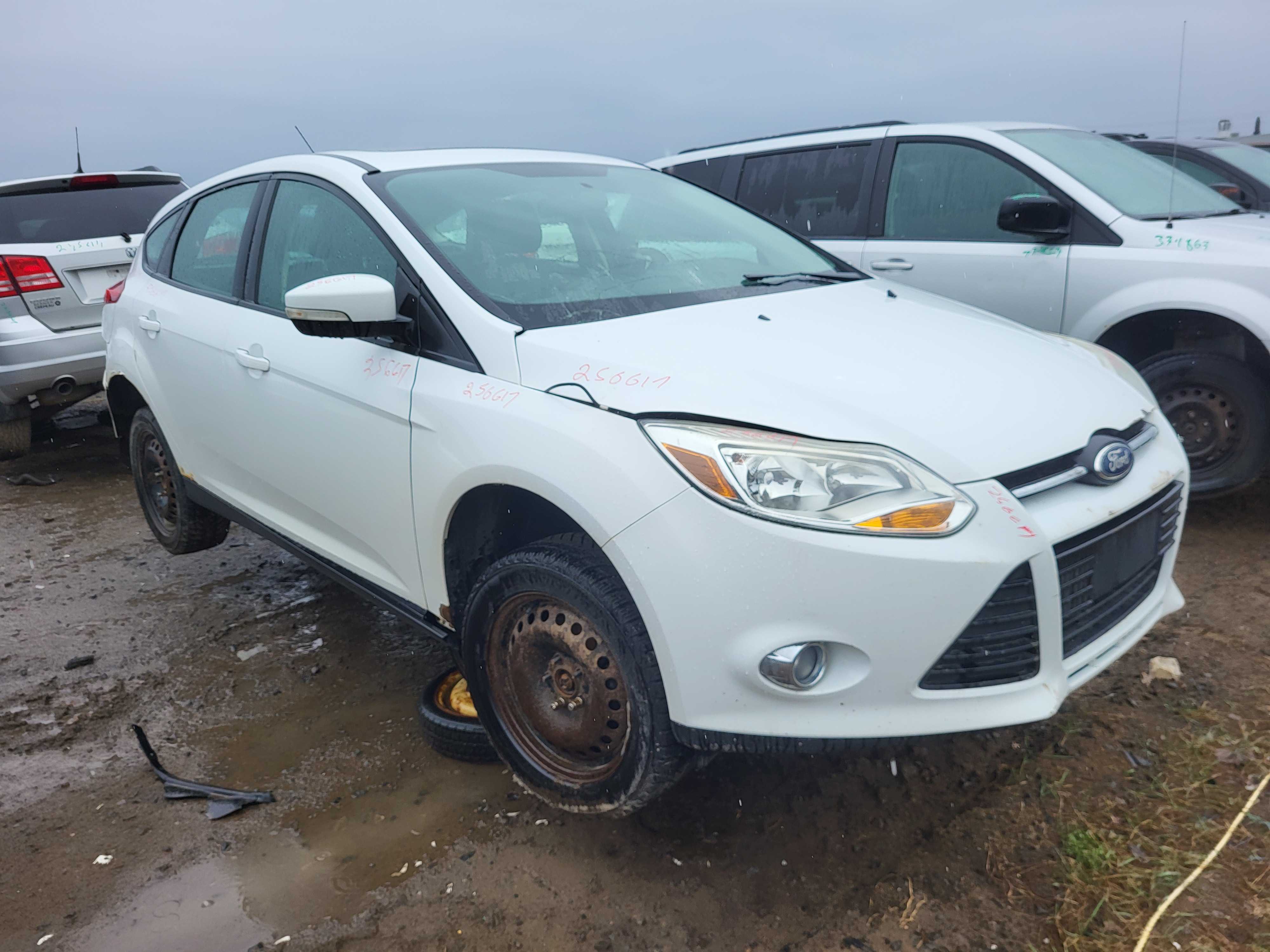 FORD FOCUS 2014
