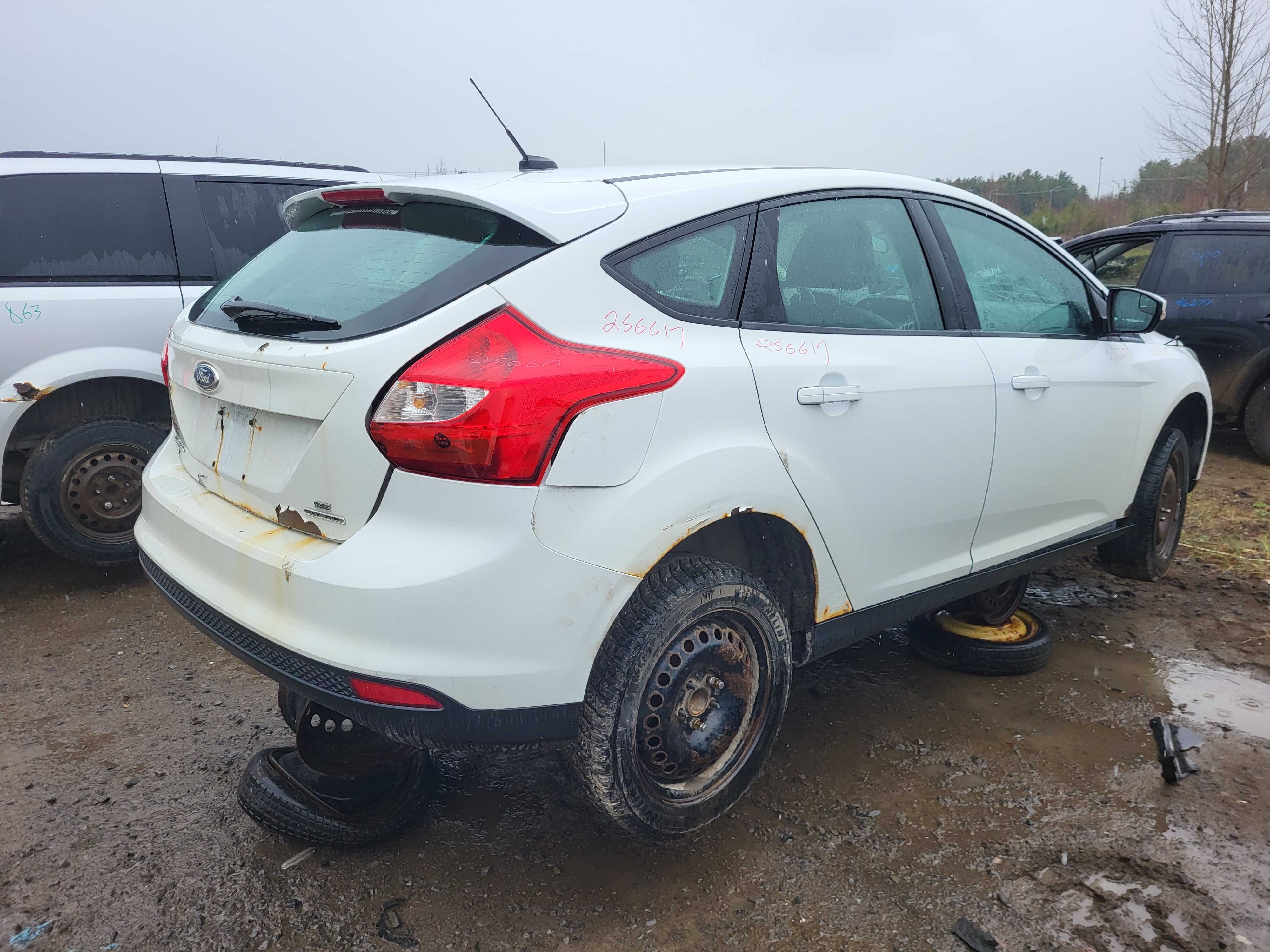 FORD FOCUS 2014