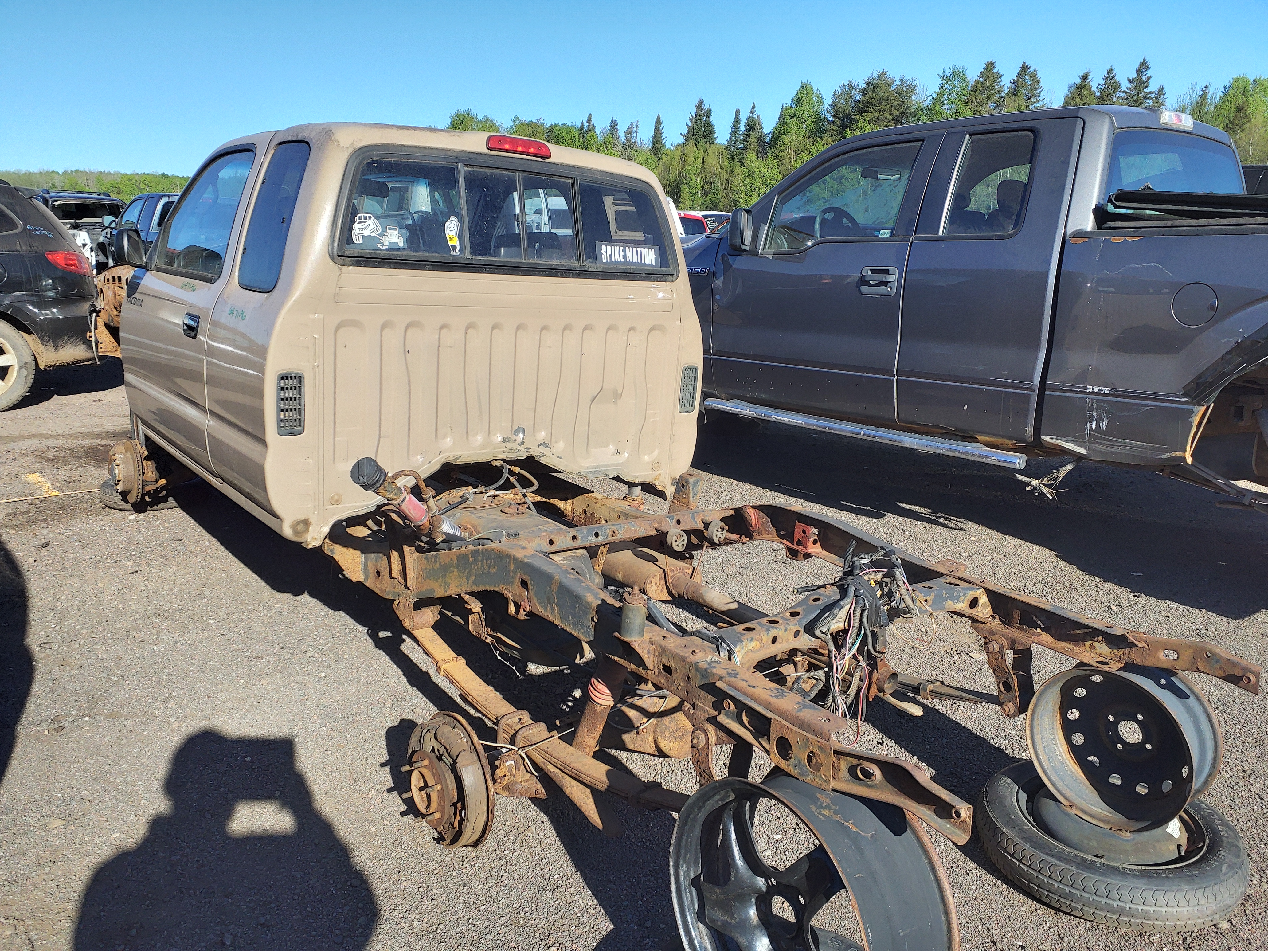 TOYOTA TACOMA 1996