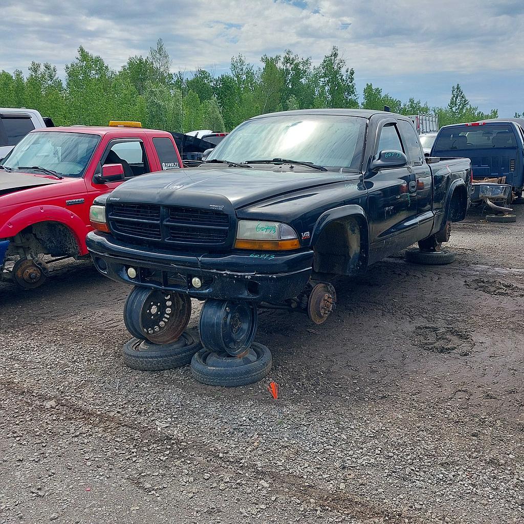 DODGE DAKOTA 1999