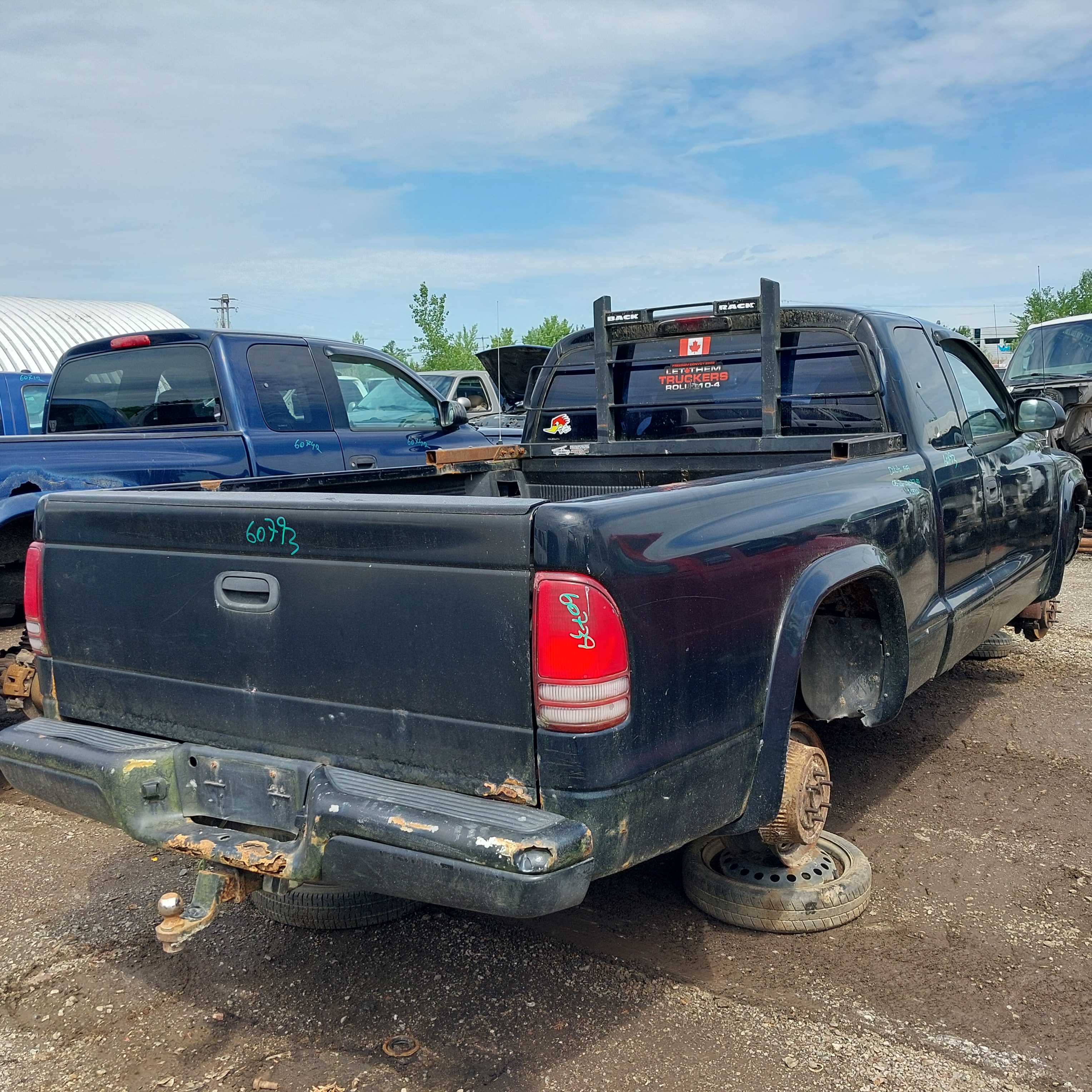 DODGE DAKOTA 1999
