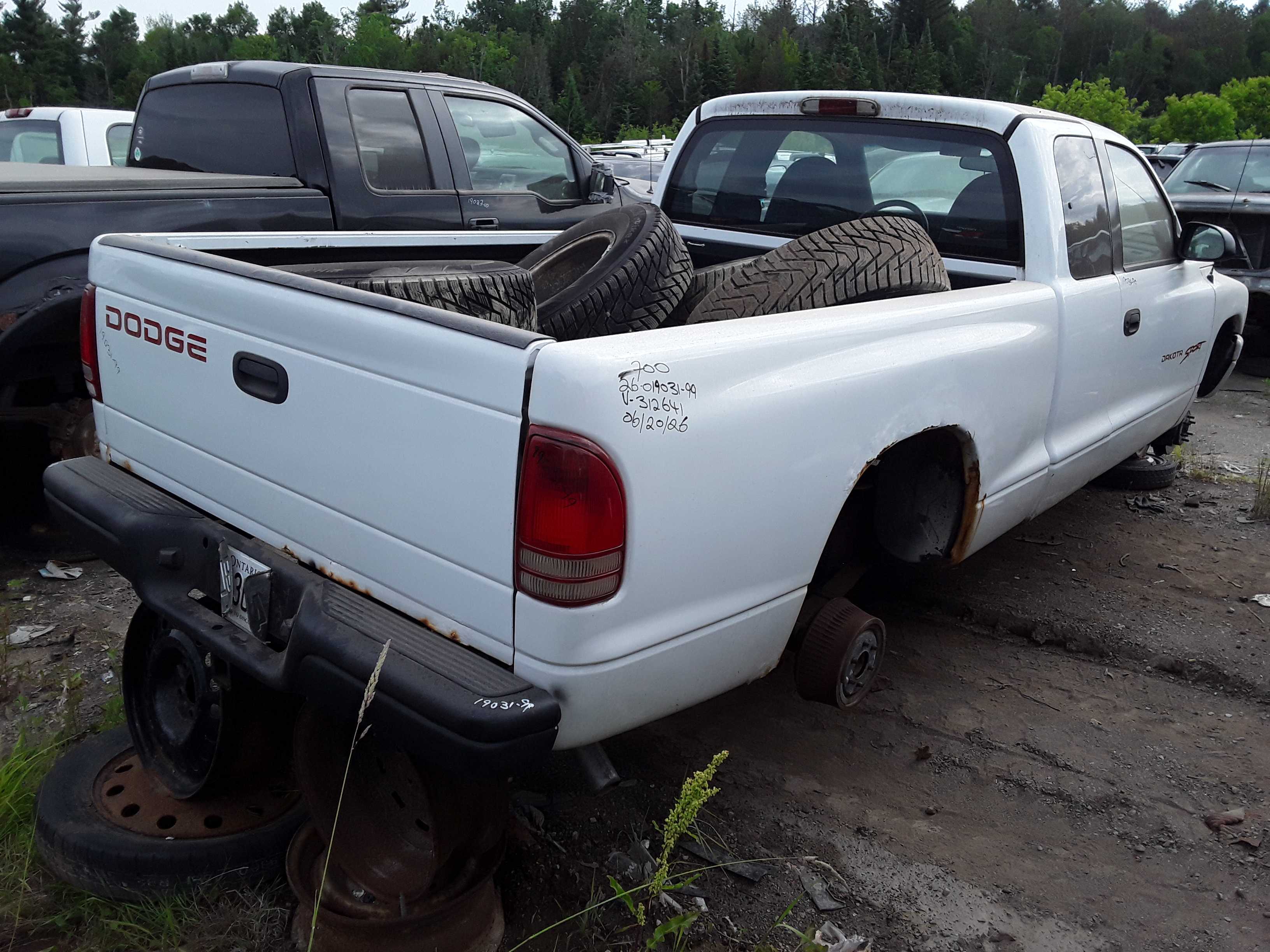 DODGE DAKOTA 1999