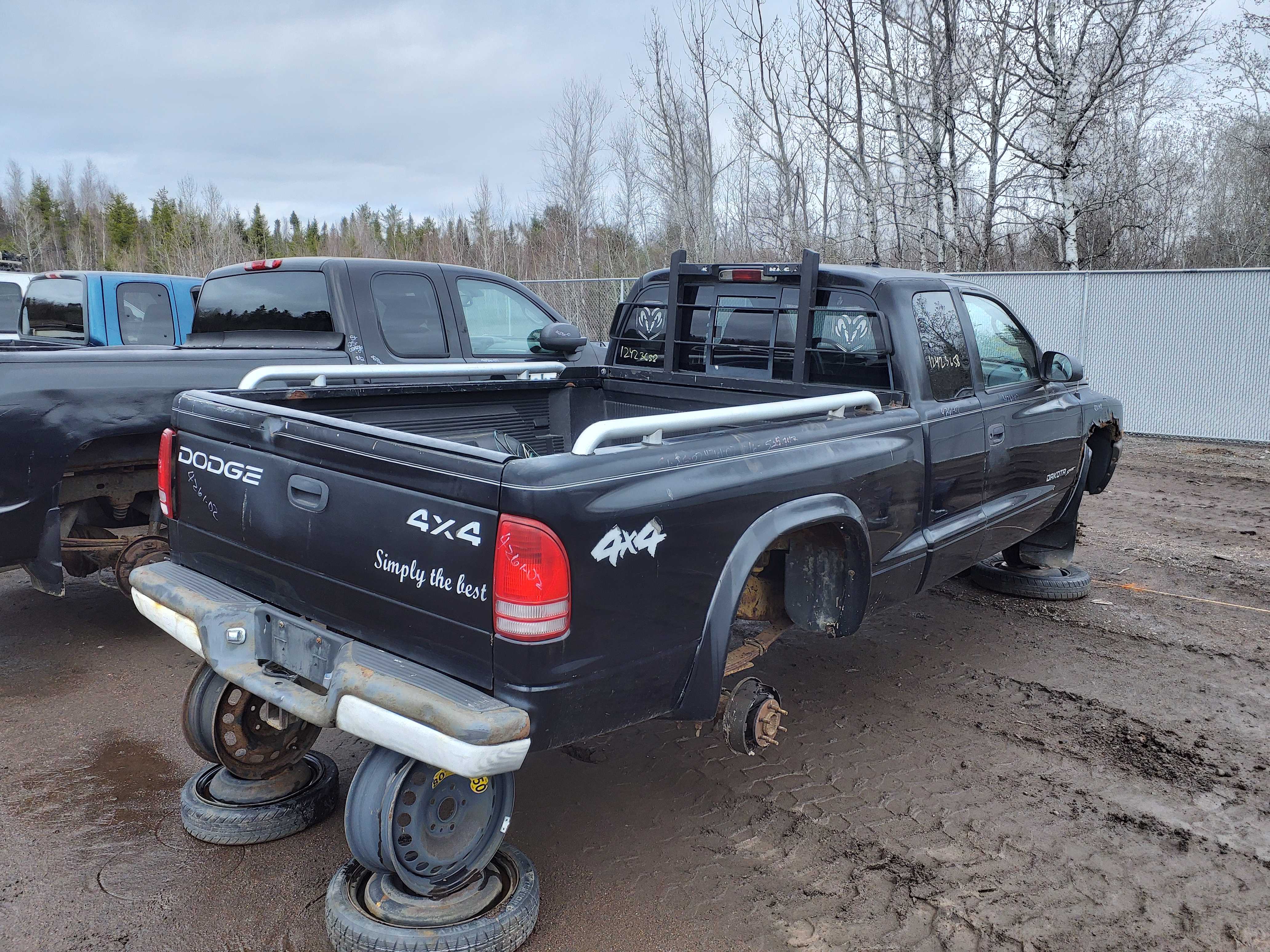 DODGE DAKOTA 2002