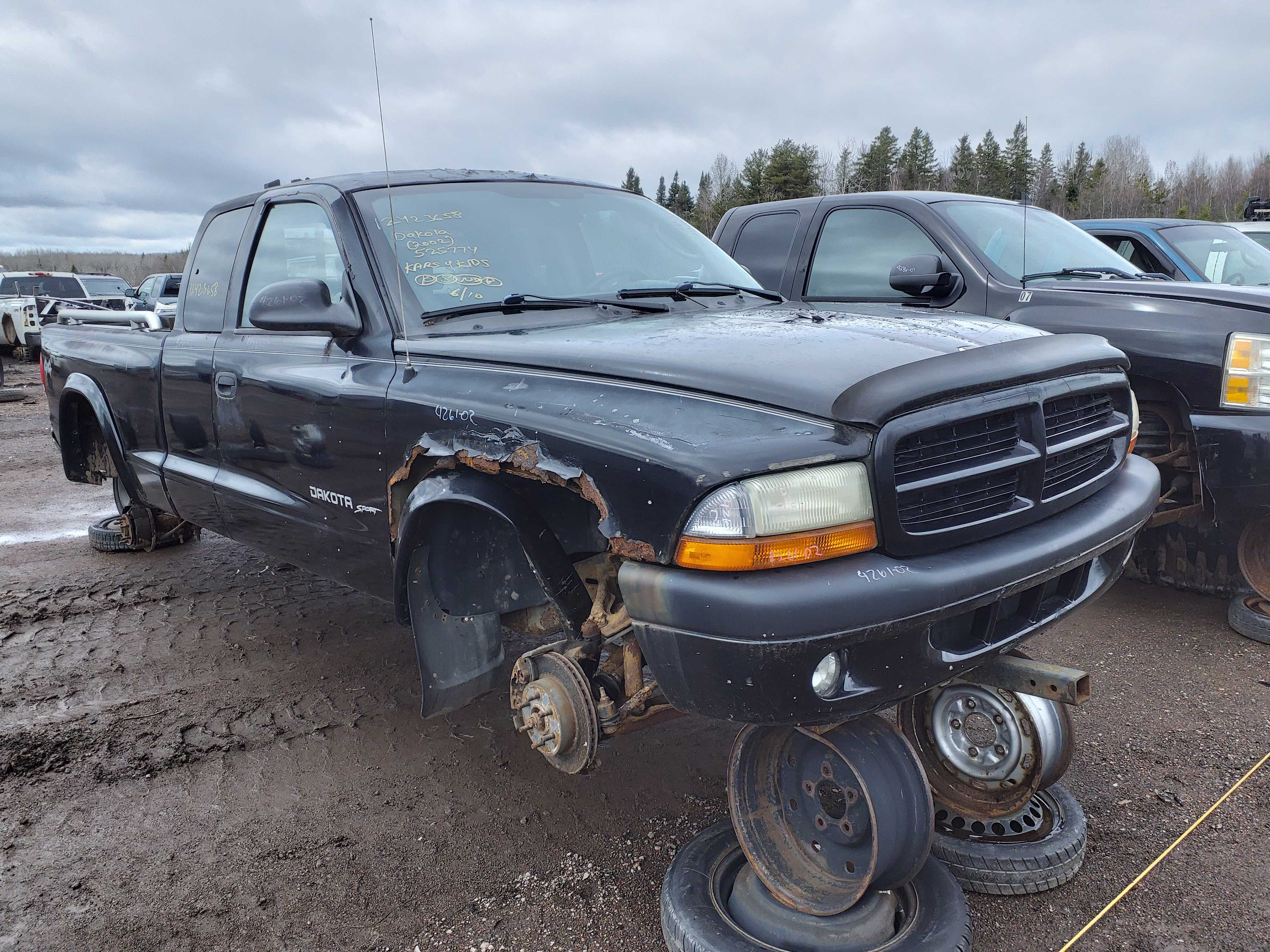 DODGE DAKOTA 2002