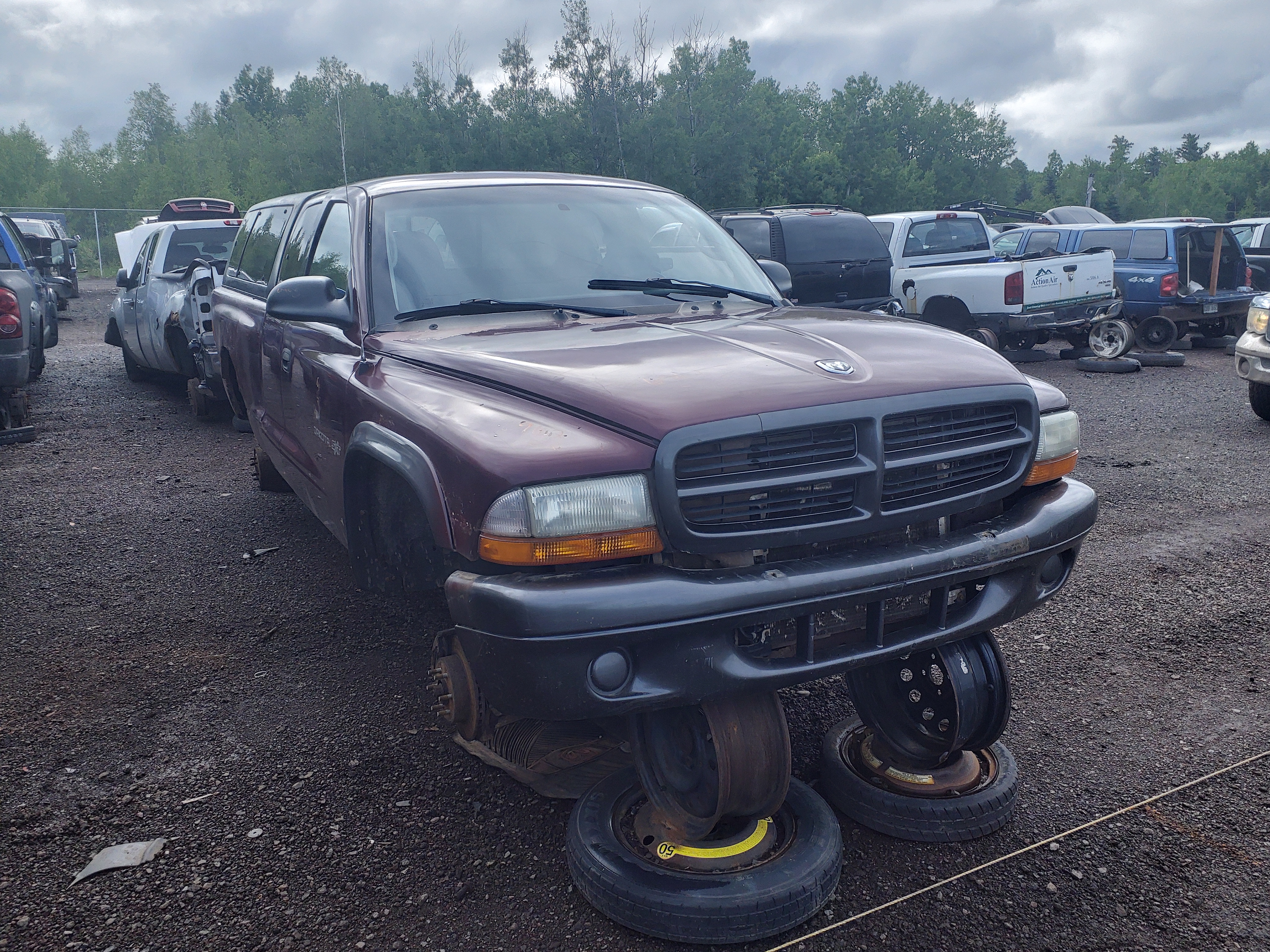 DODGE DAKOTA 2002