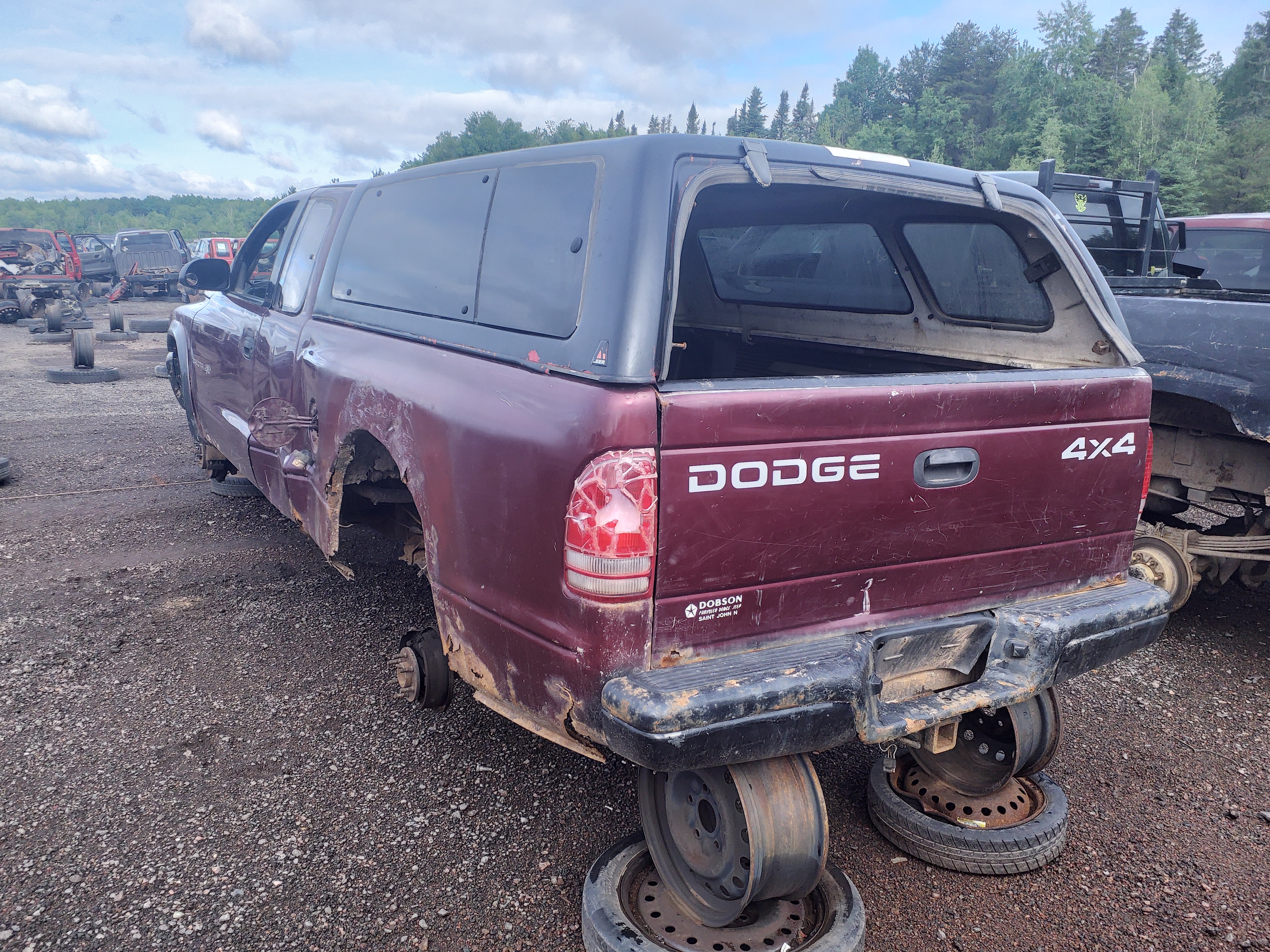 DODGE DAKOTA 2002
