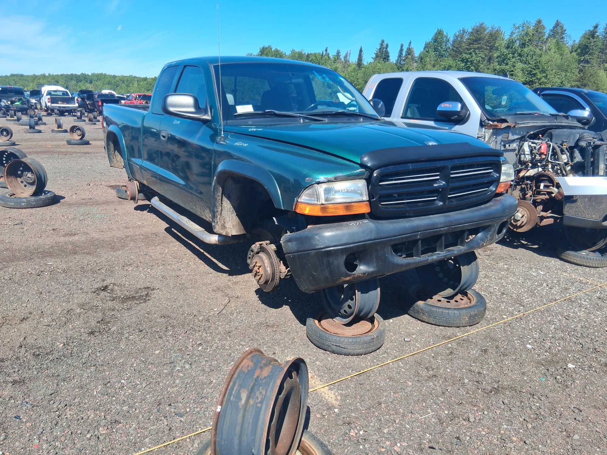 DODGE DAKOTA 2004
