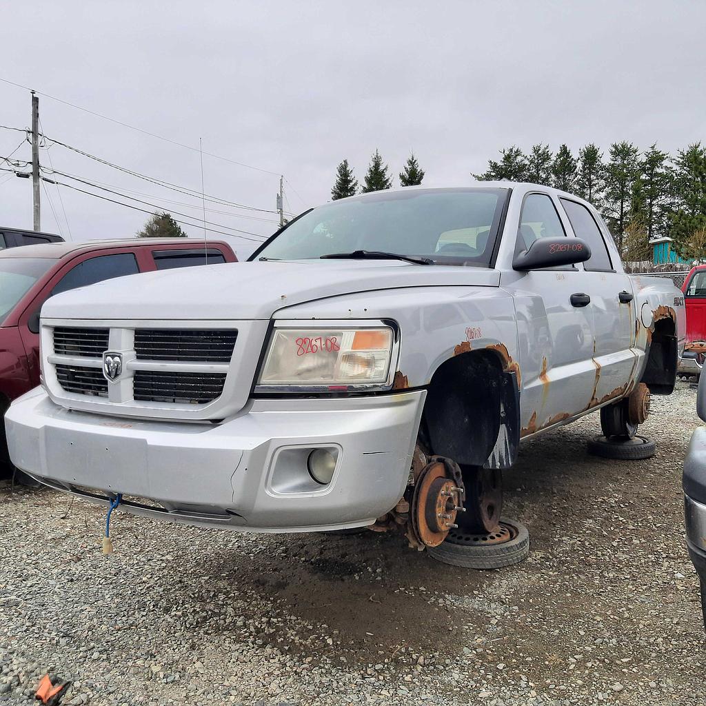 DODGE DAKOTA 2008