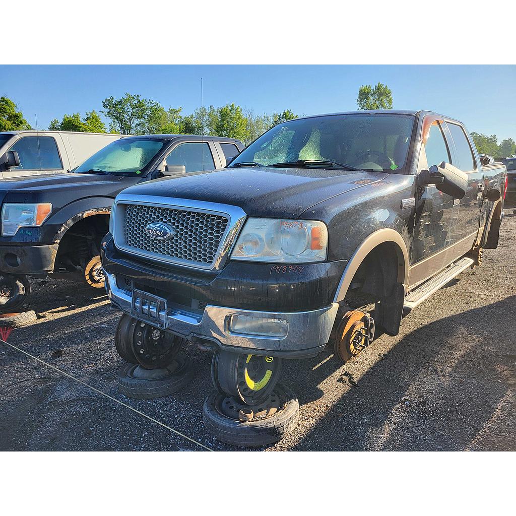 FORD F-150 2004