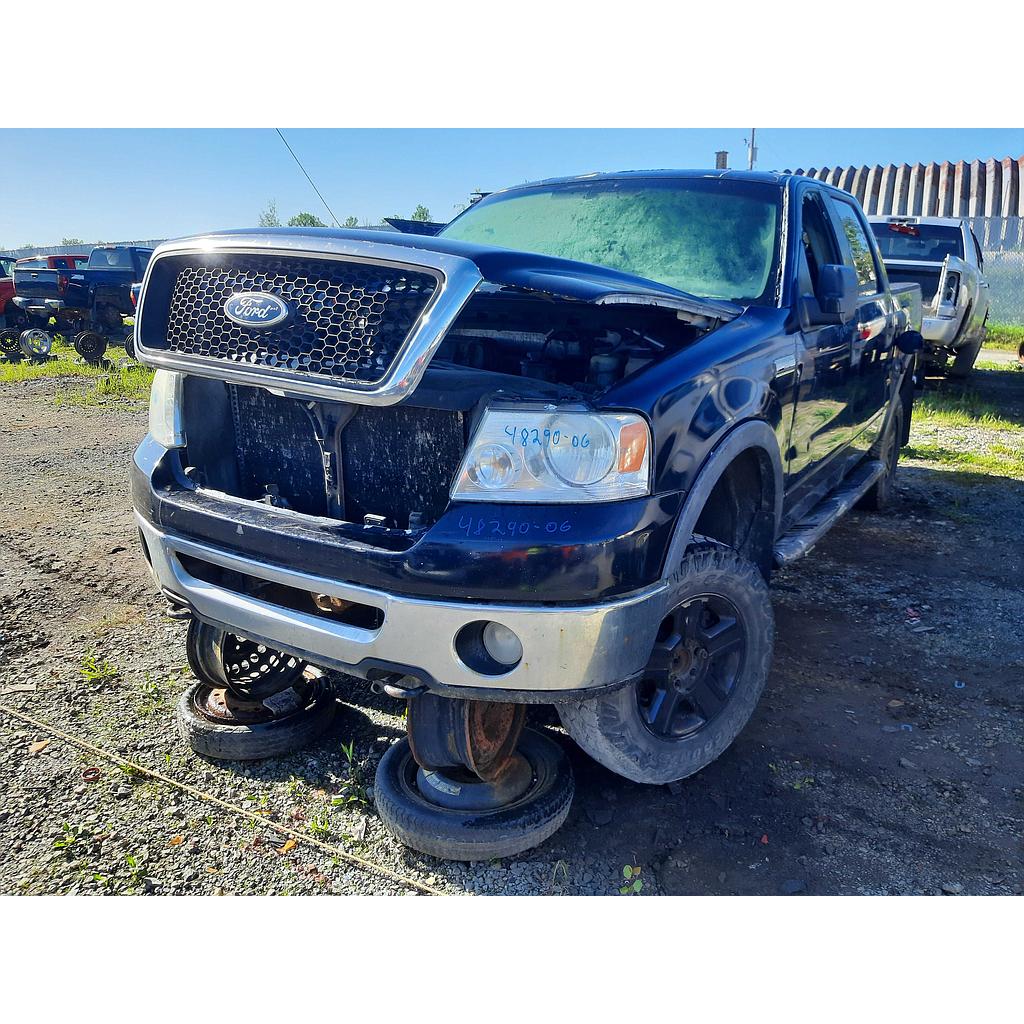 FORD F-150 2006