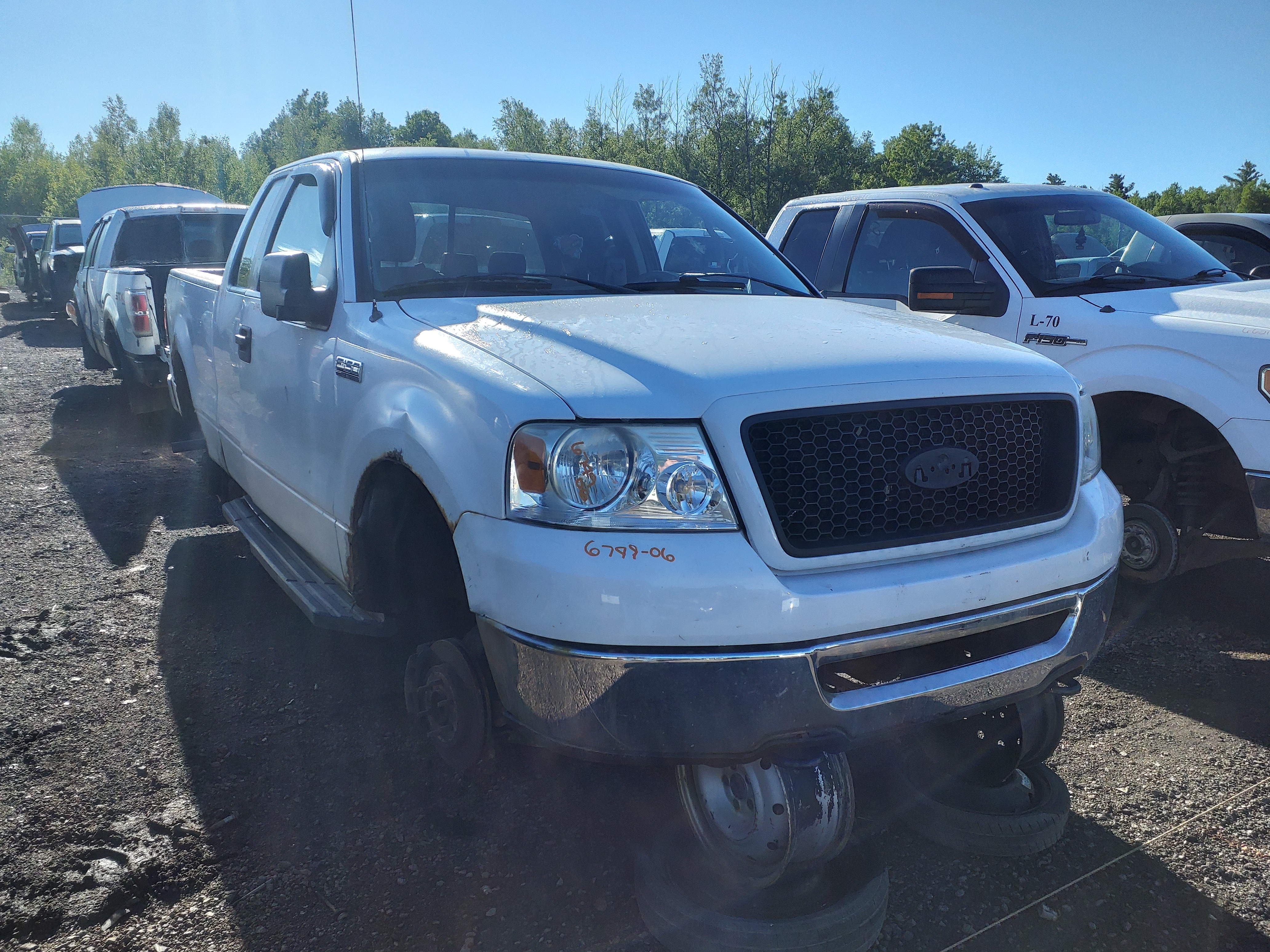 FORD F-150 2006