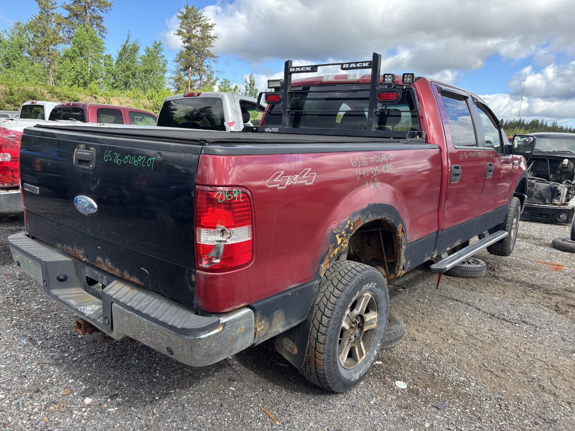 FORD F-150 2007