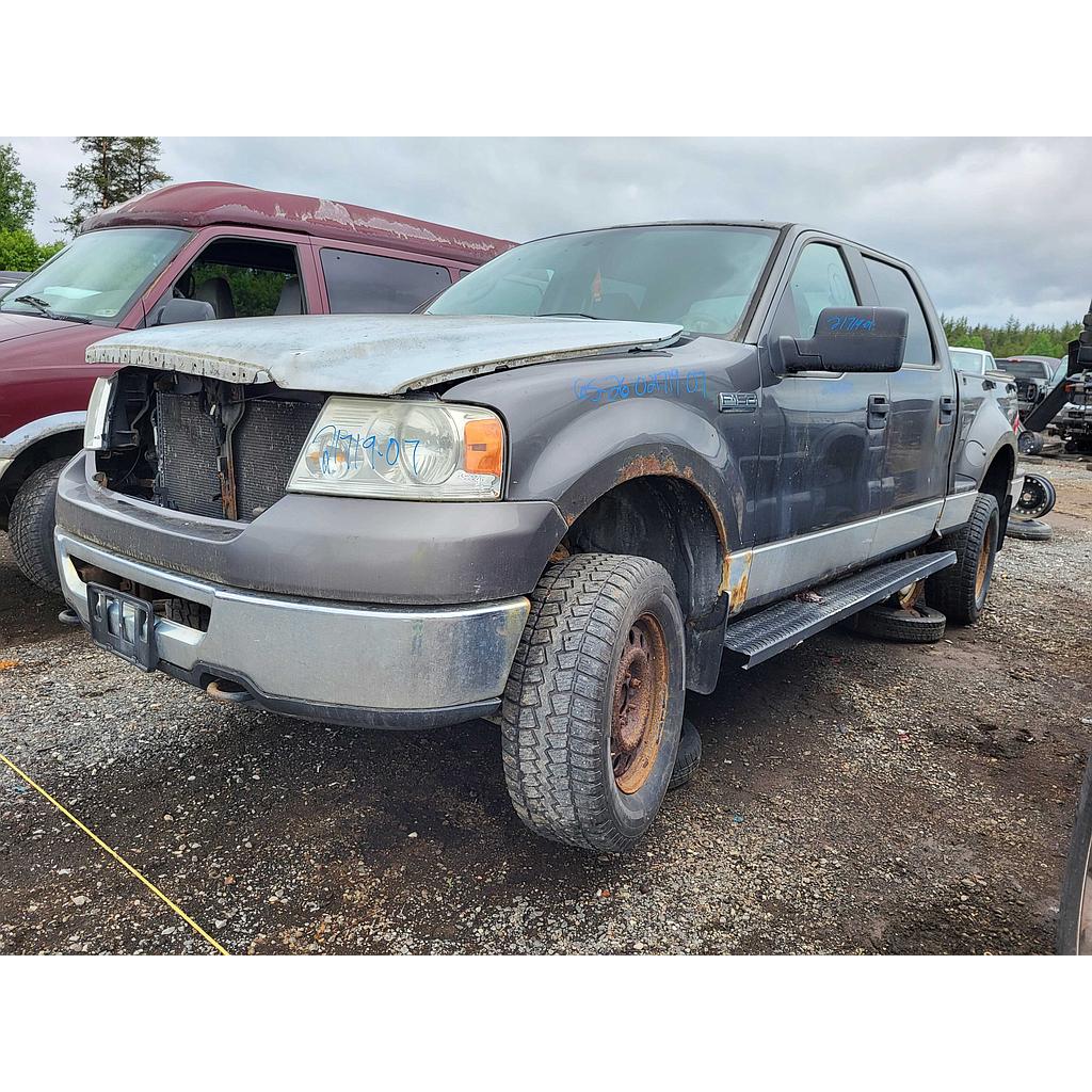 FORD F-150 2007