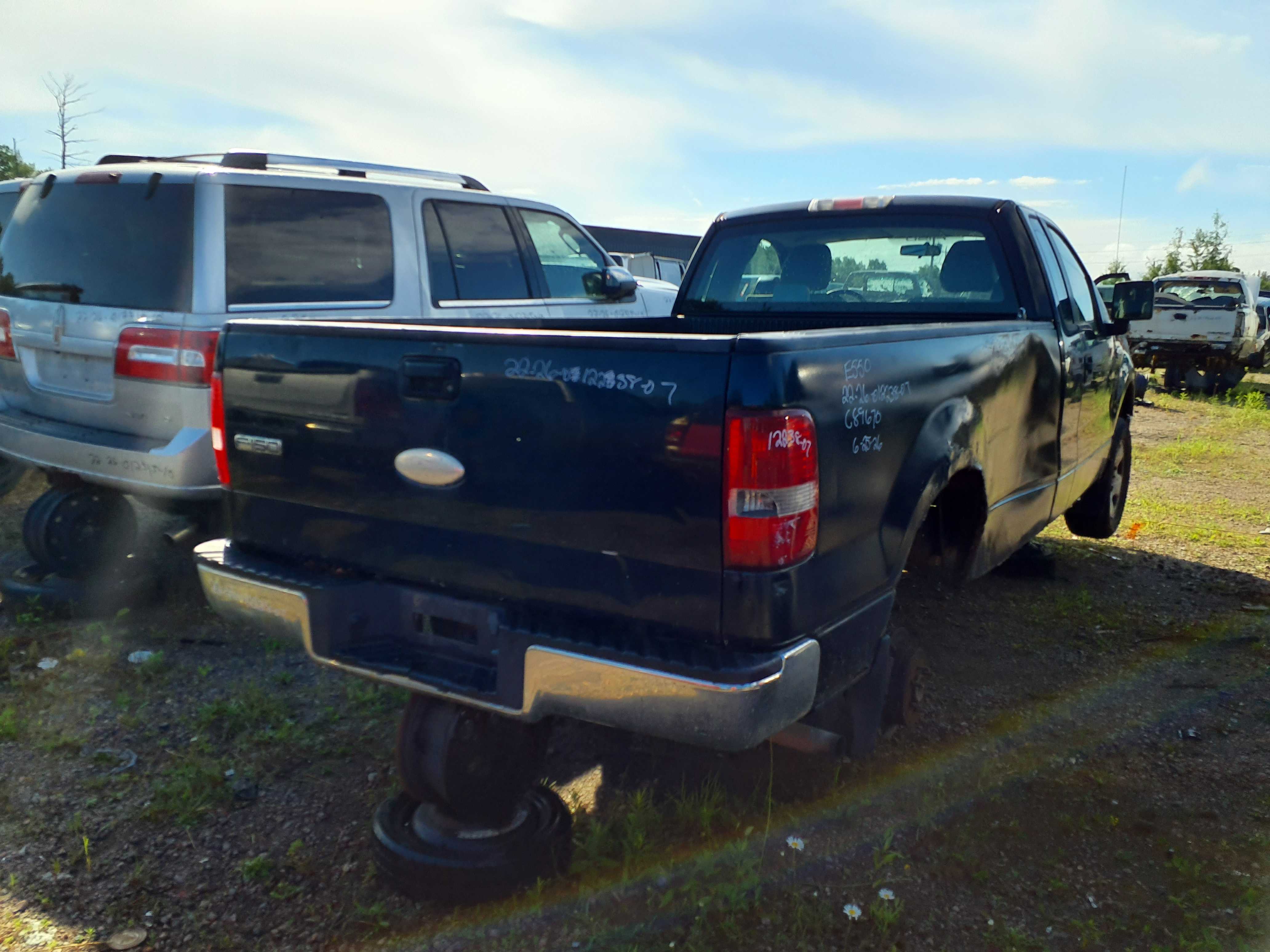 FORD F-150 2007