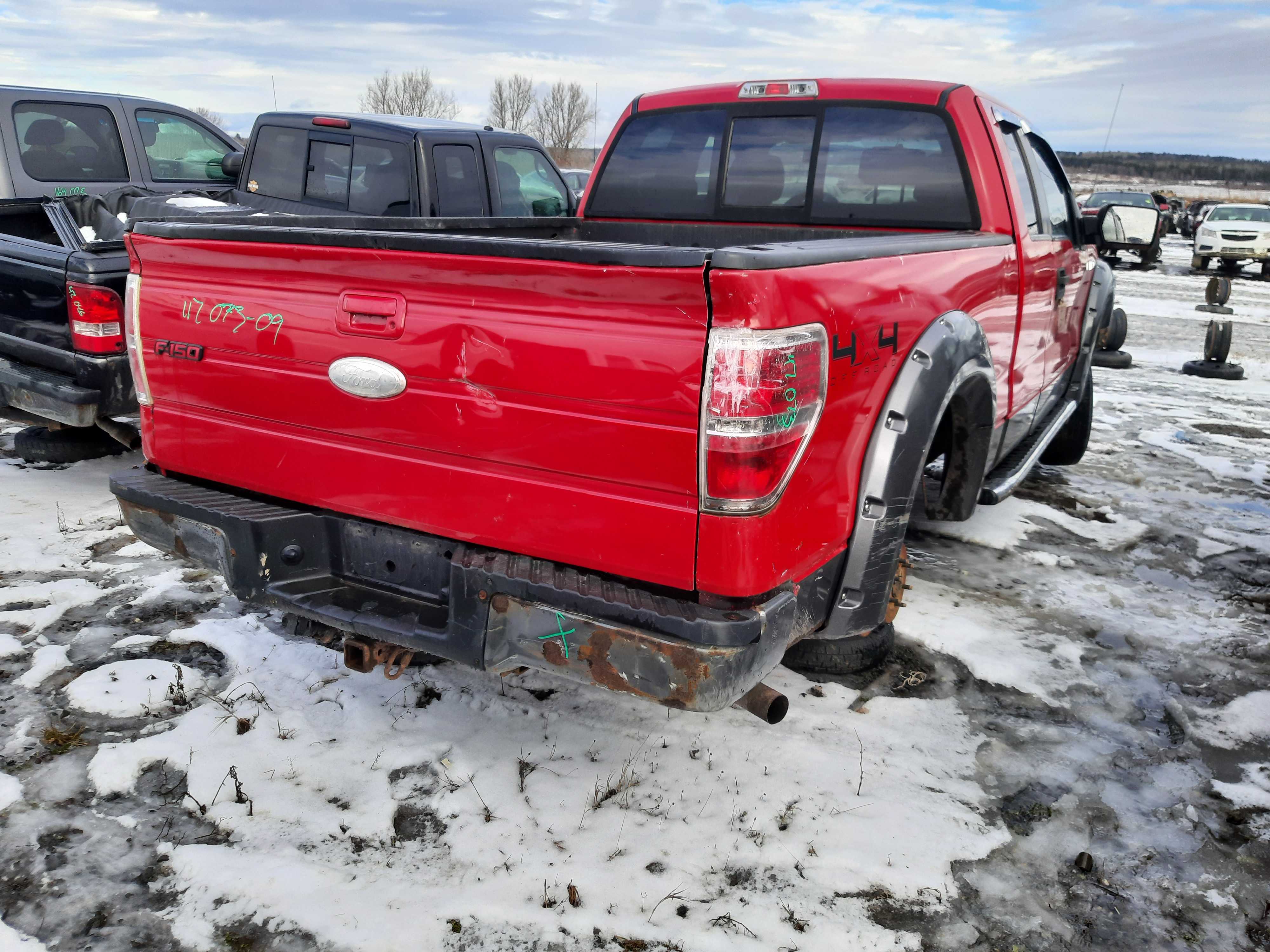 FORD F-150 2009