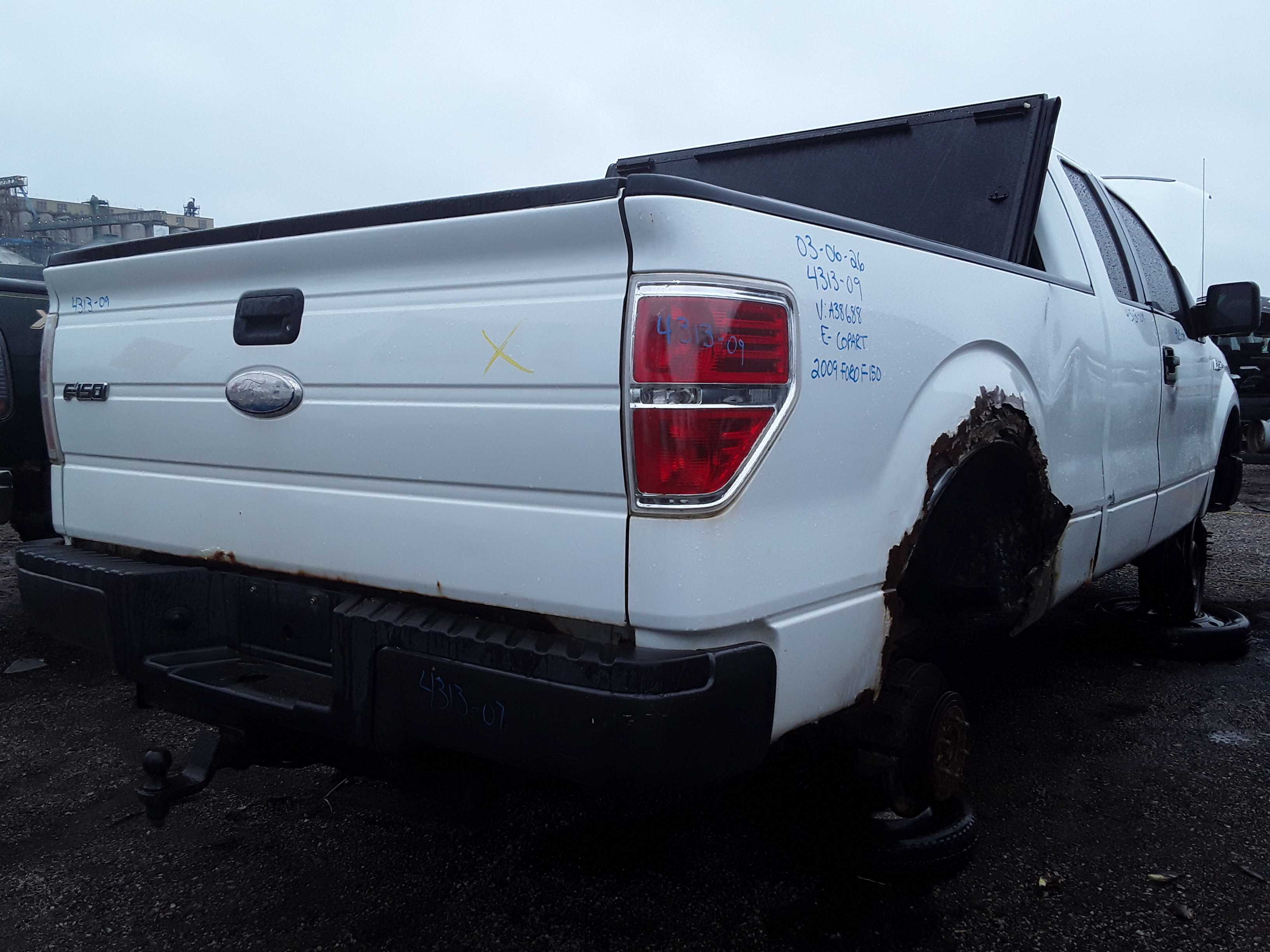 FORD F-150 2009