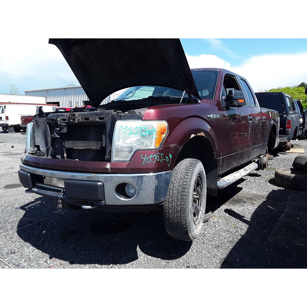 FORD F-150 2009