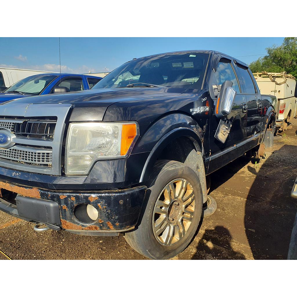 FORD F-150 2009