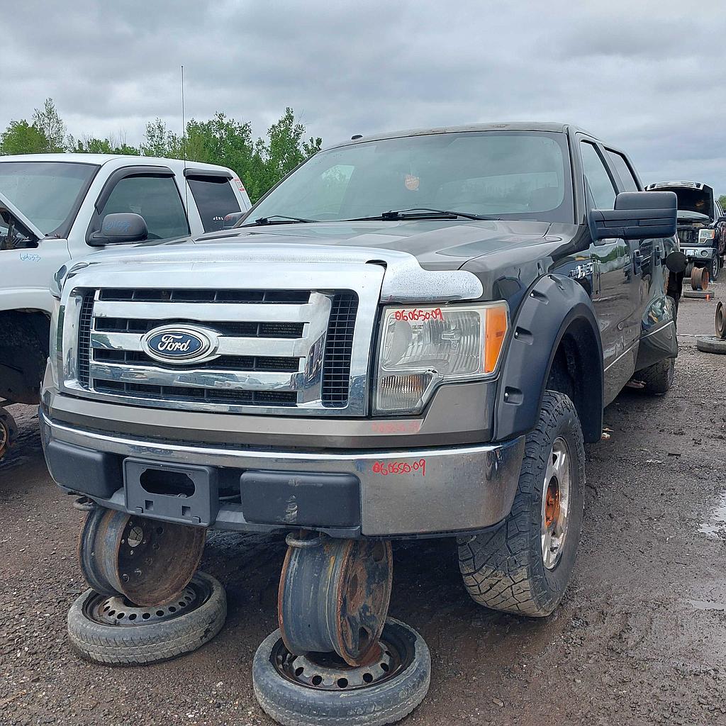 FORD F-150 2009