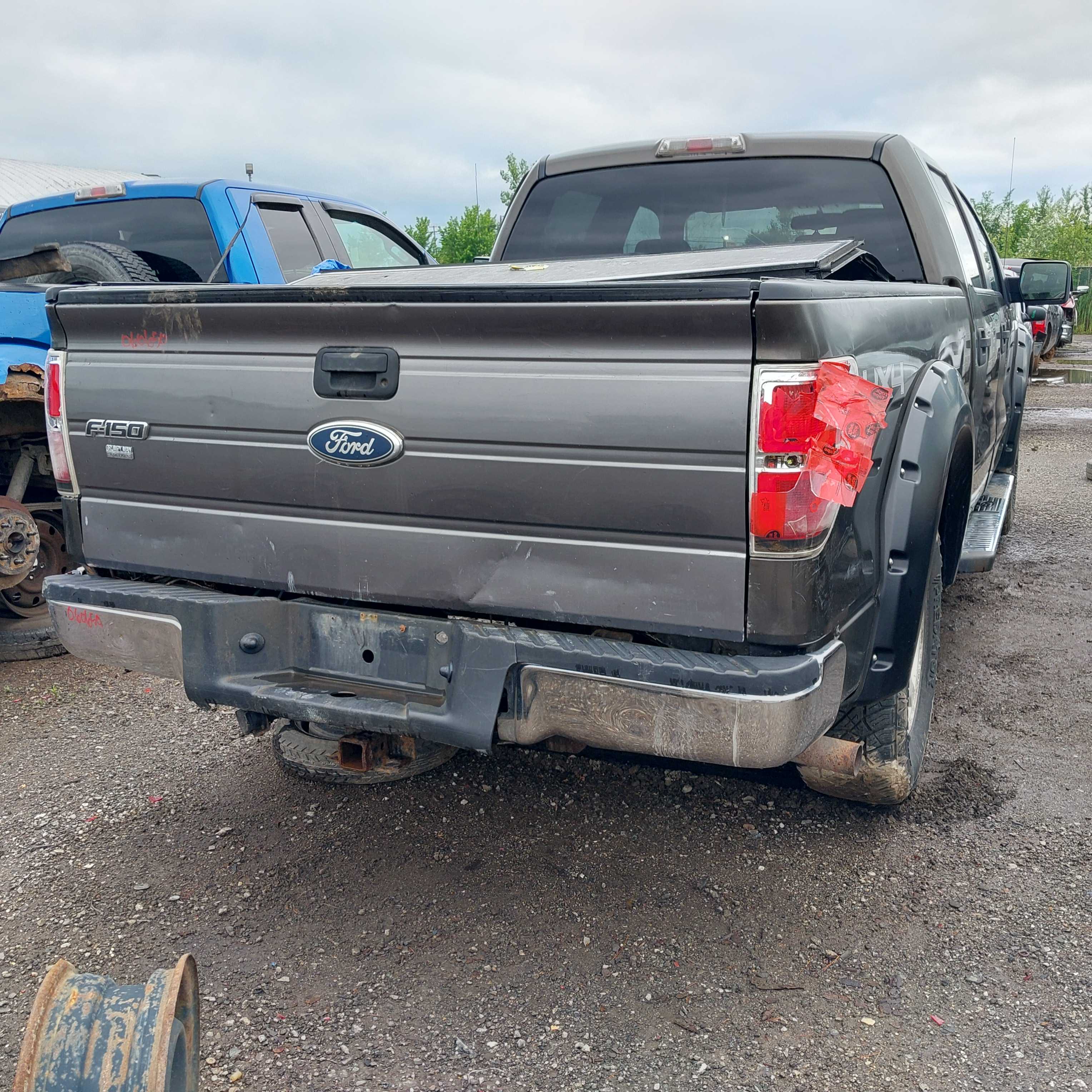 FORD F-150 2009