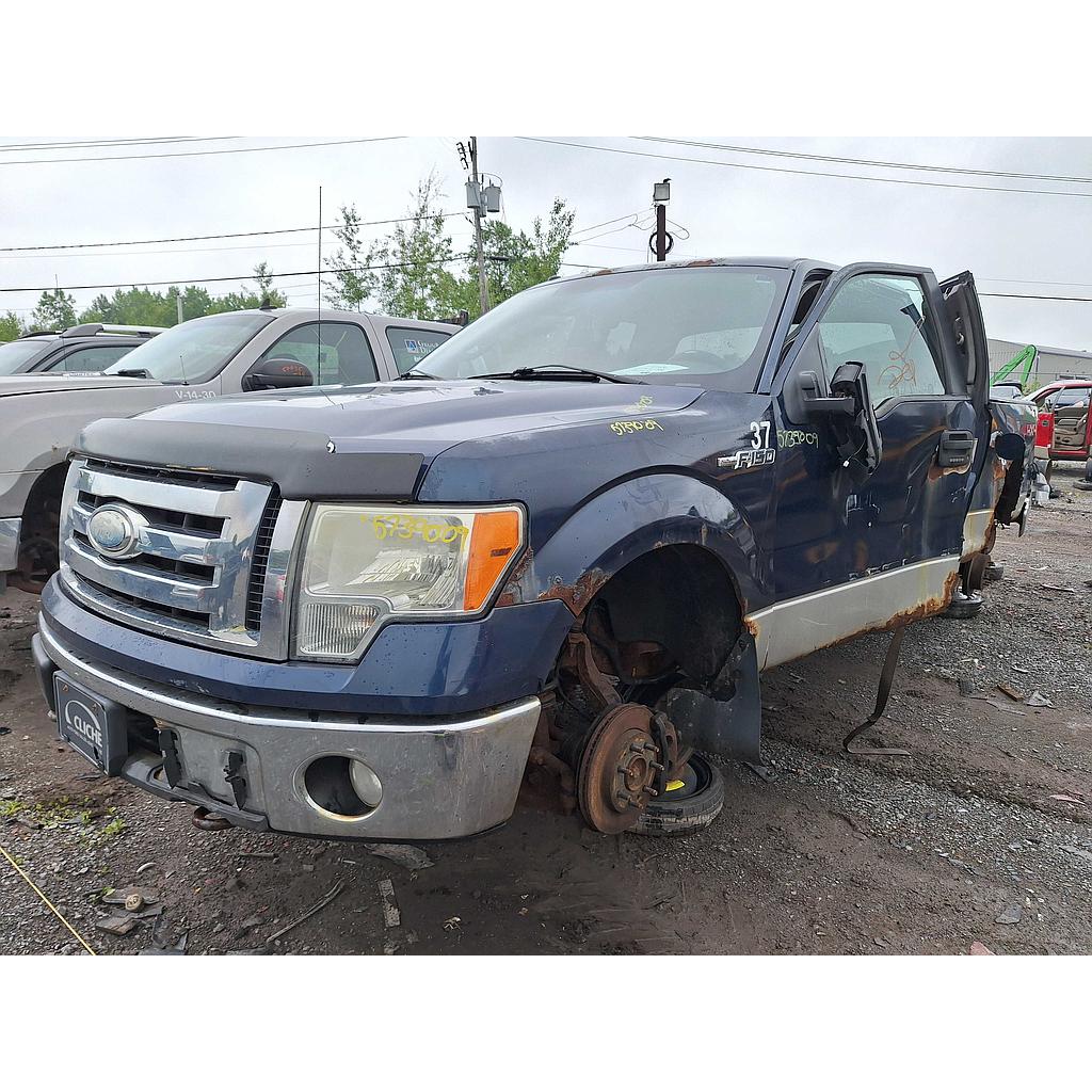 FORD F-150 2009