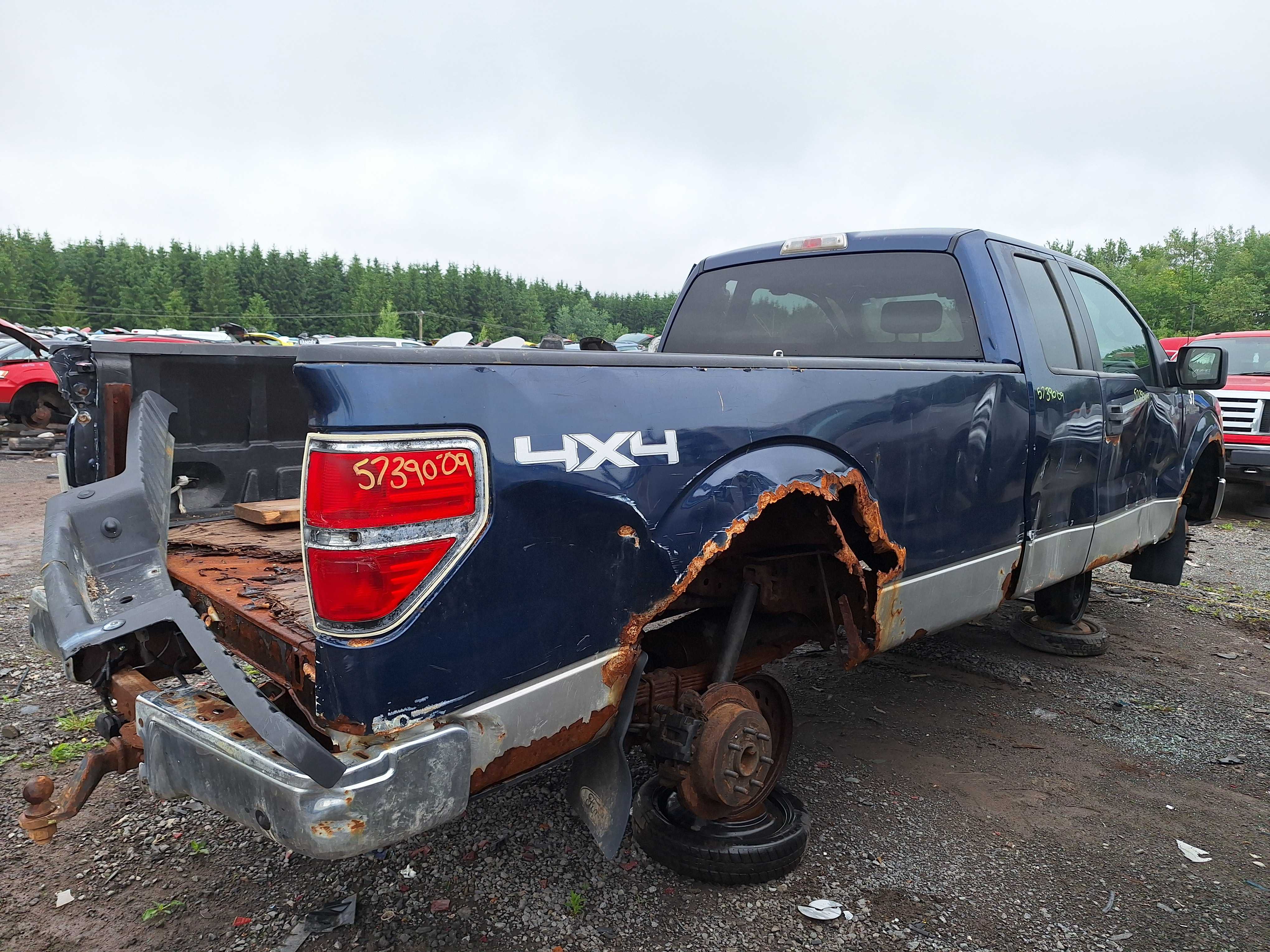 FORD F-150 2009
