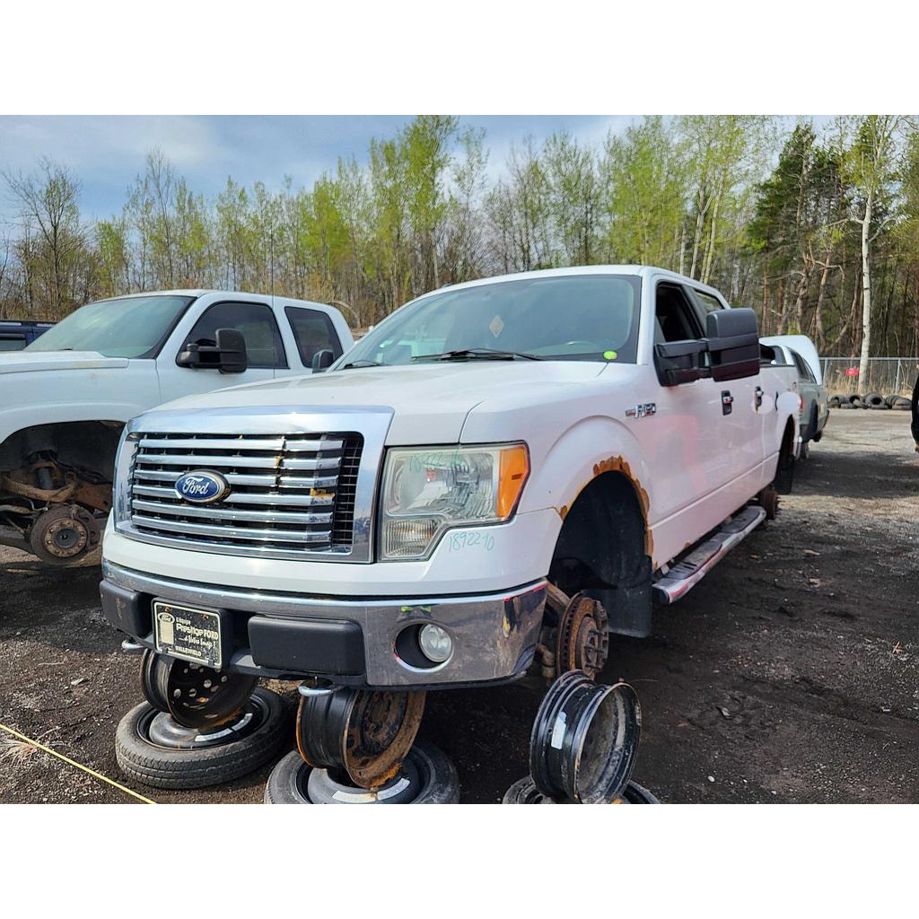 FORD F-150 2010