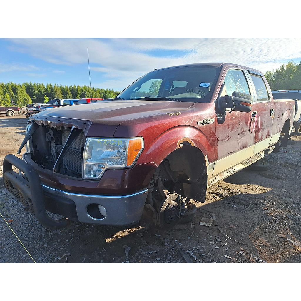 FORD F-150 2010