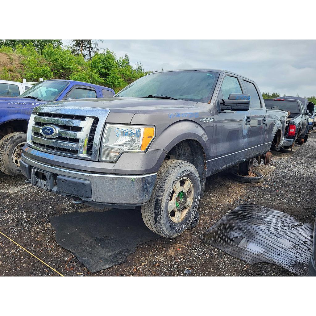 FORD F-150 2010