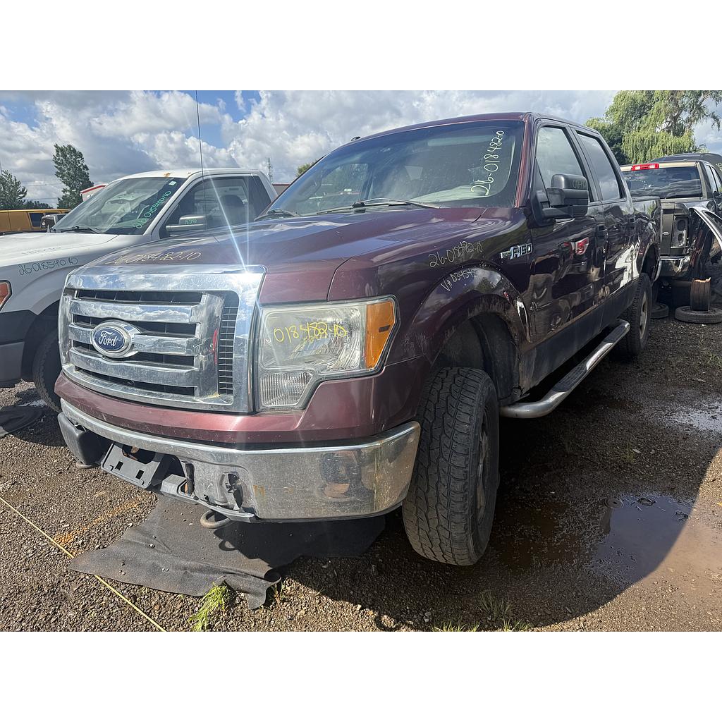 FORD F-150 2010