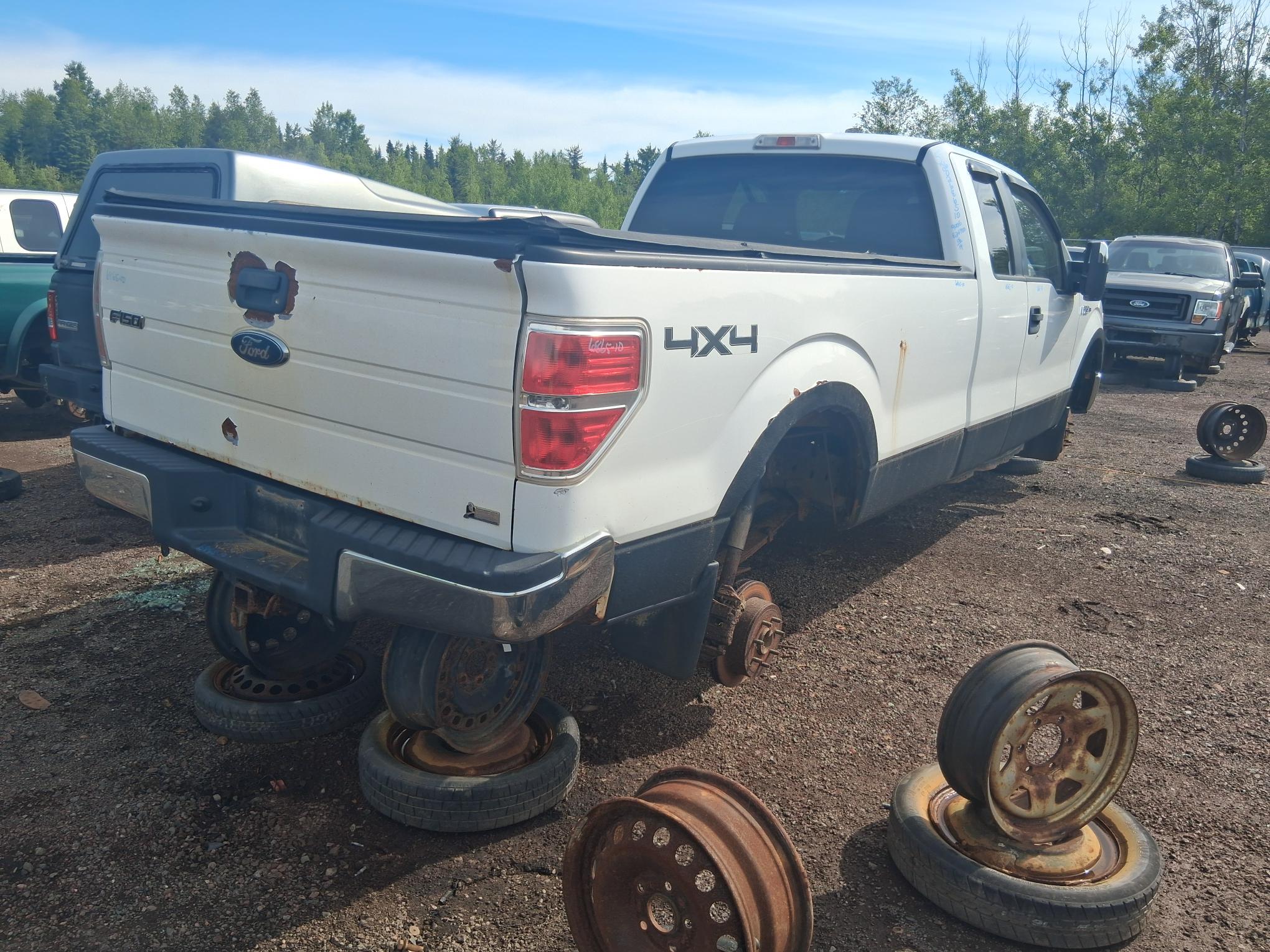 FORD F-150 2010
