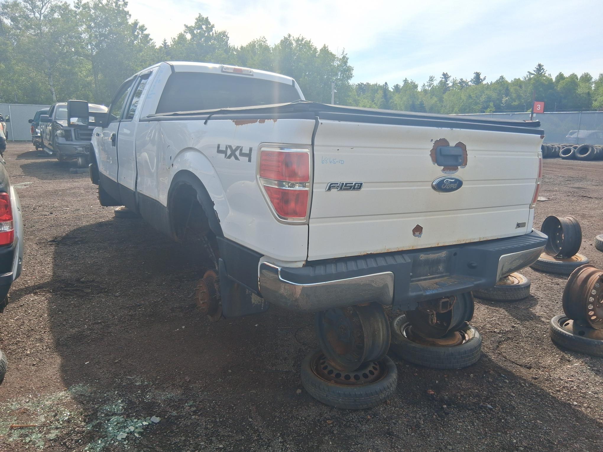 FORD F-150 2010