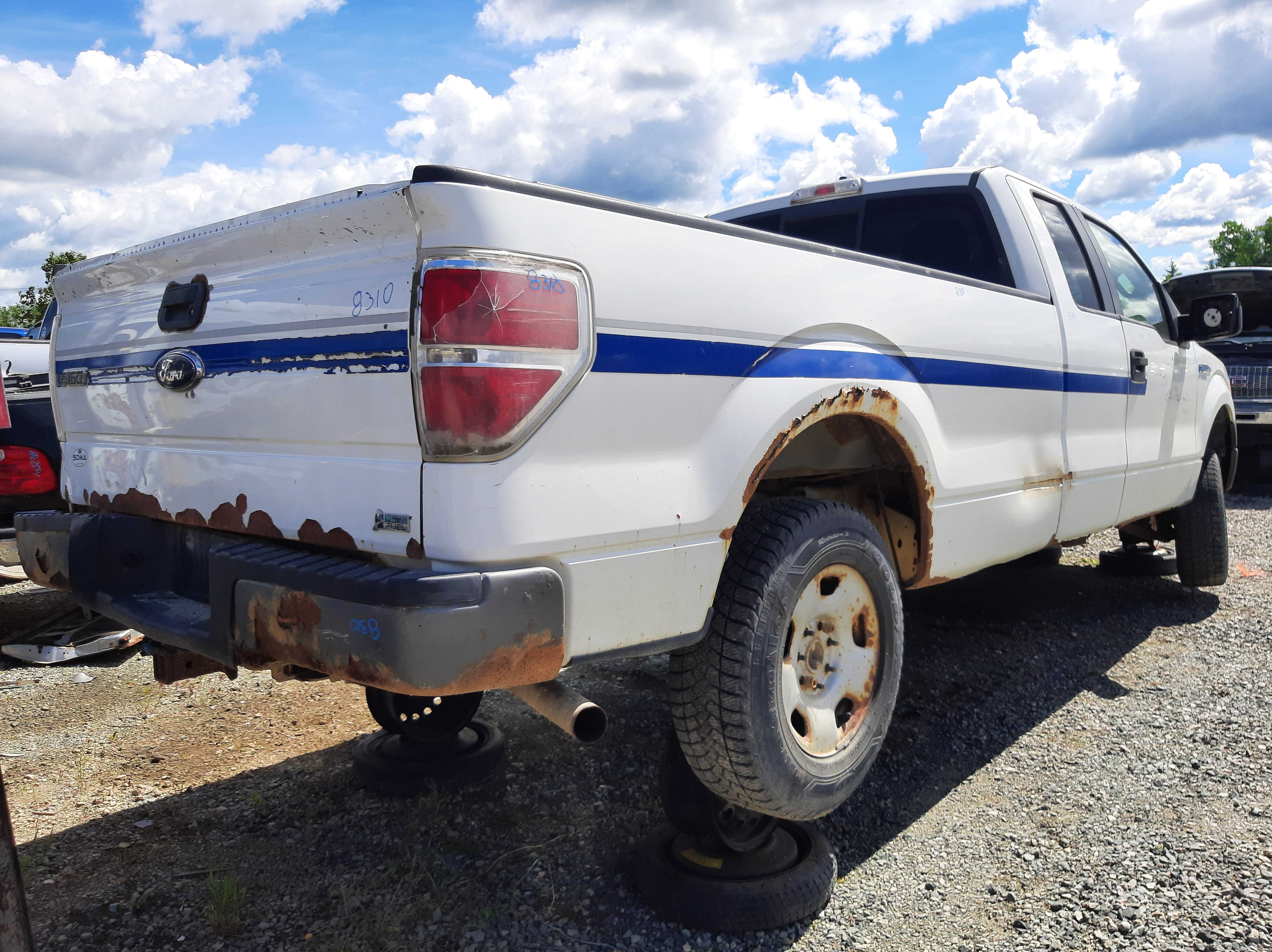 FORD F-150 2010