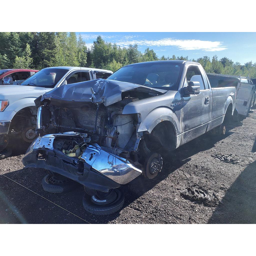 FORD F-150 2010