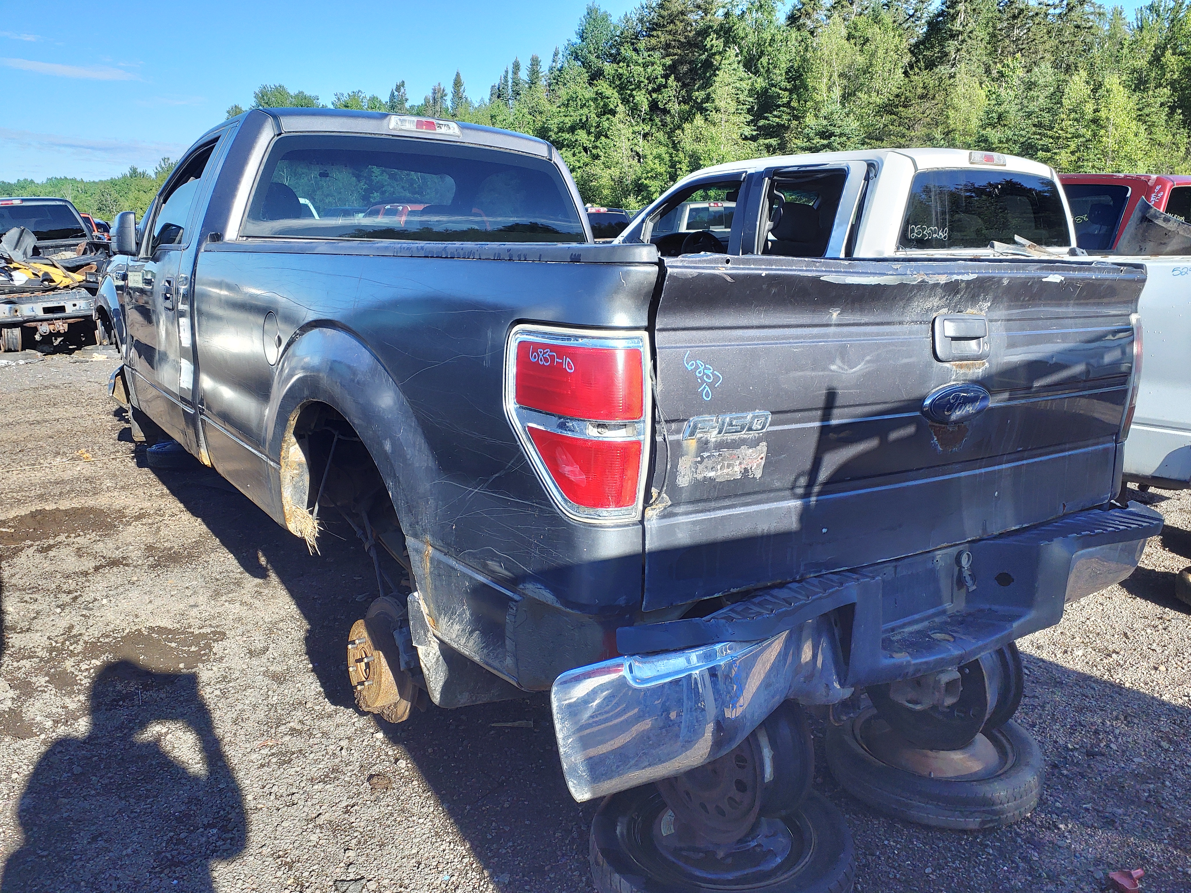 FORD F-150 2010