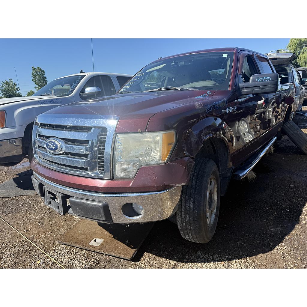 FORD F-150 2010
