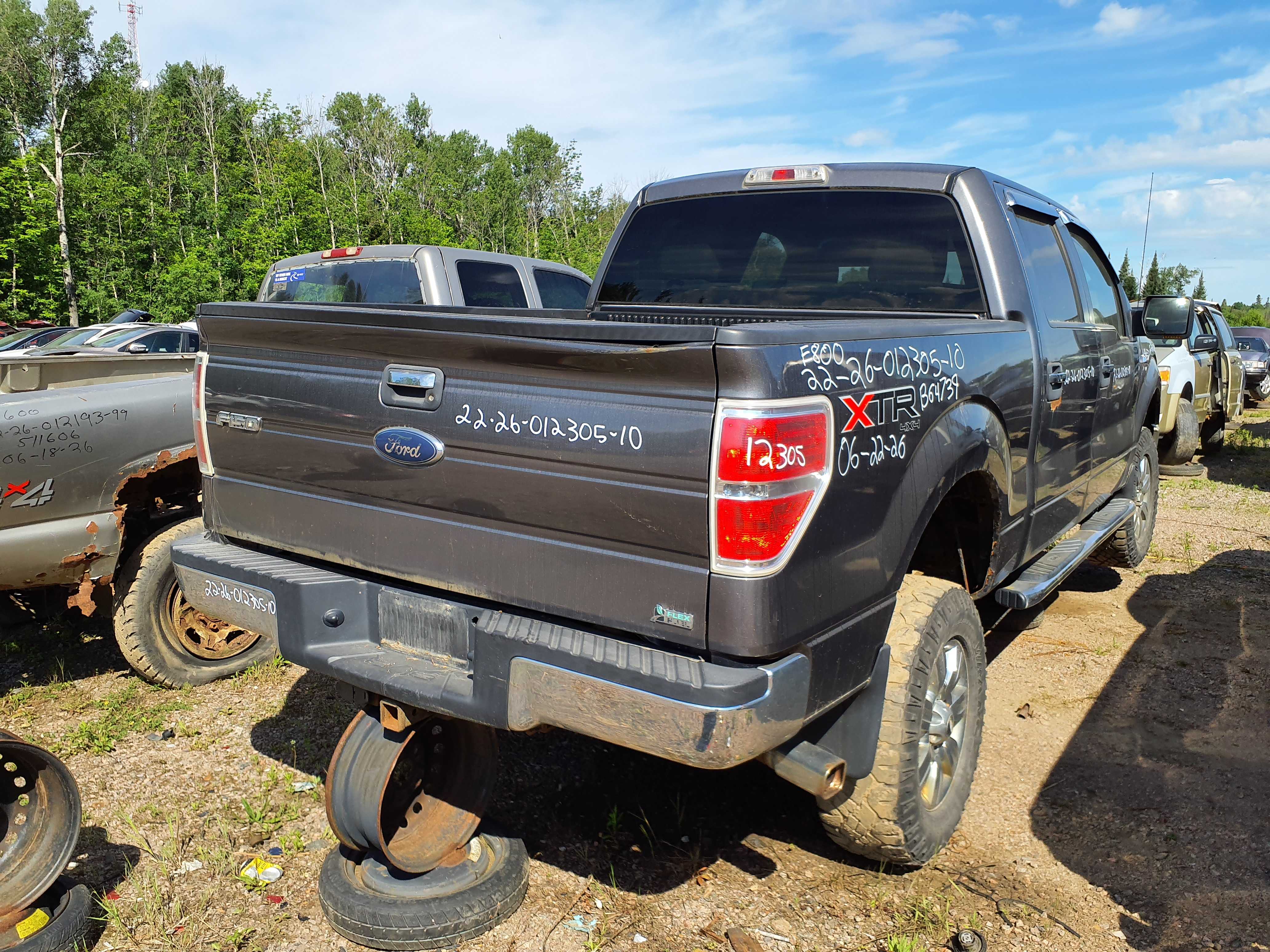 FORD F-150 2010