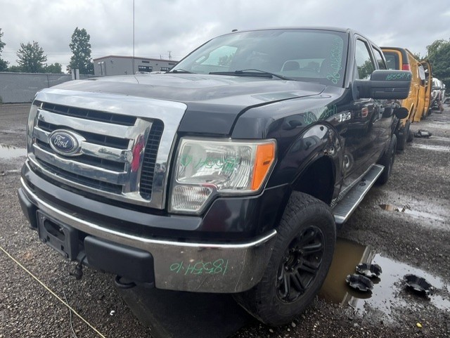 FORD F-150 2010